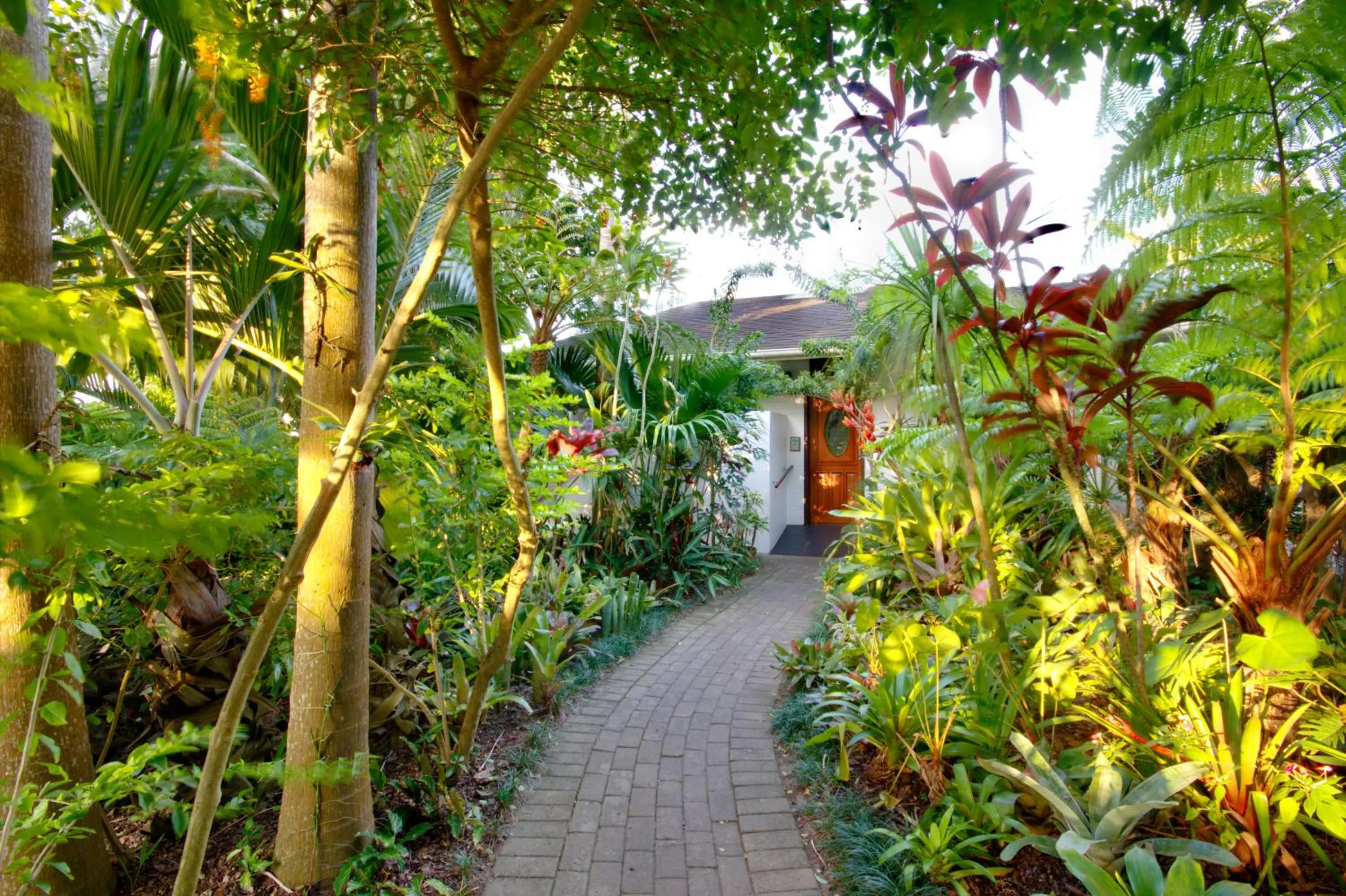 Garden in St. Lucia Wetlands Guest House