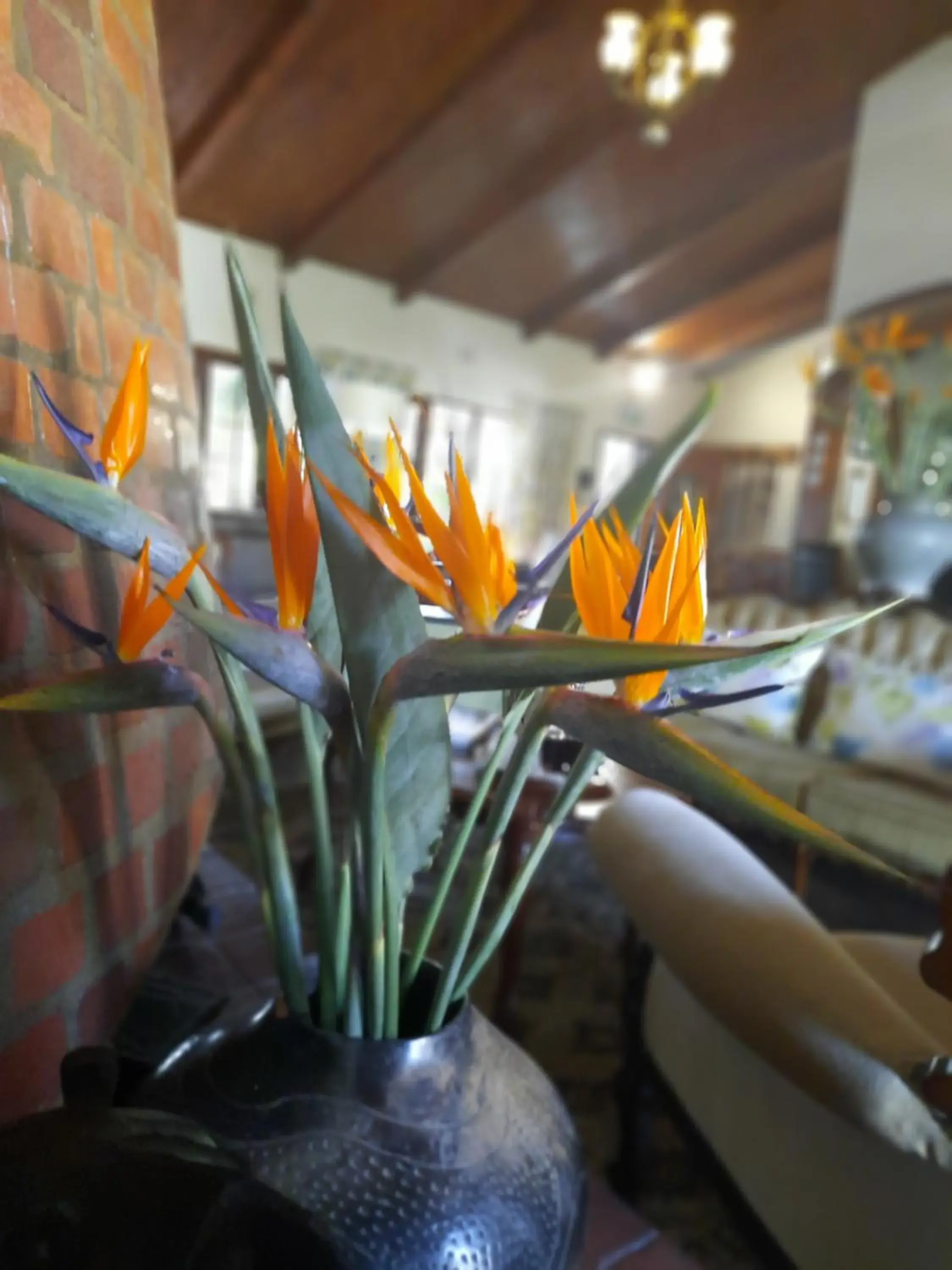 Lounge or bar in St. Lucia Wetlands Guest House Lounge or bar in St. Lucia Wetlands Guest House