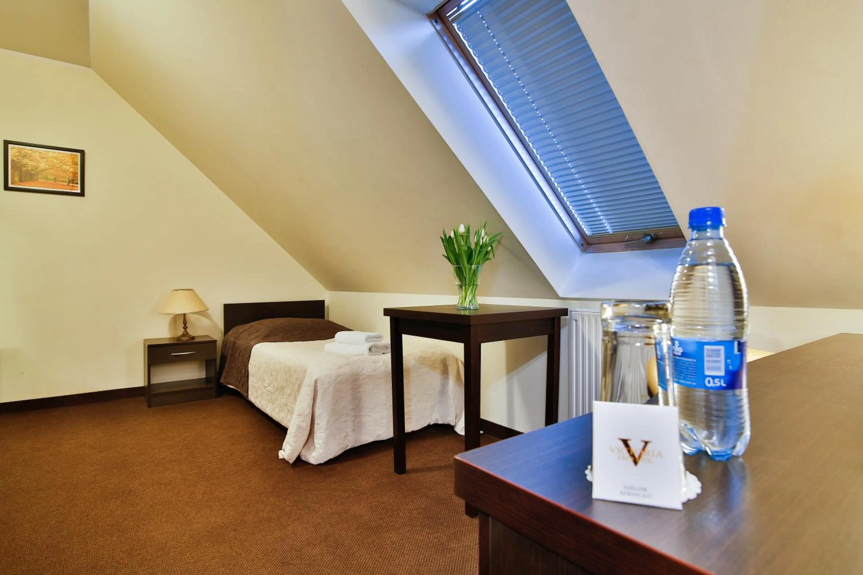 Photo of the whole room in Hotel Victoria