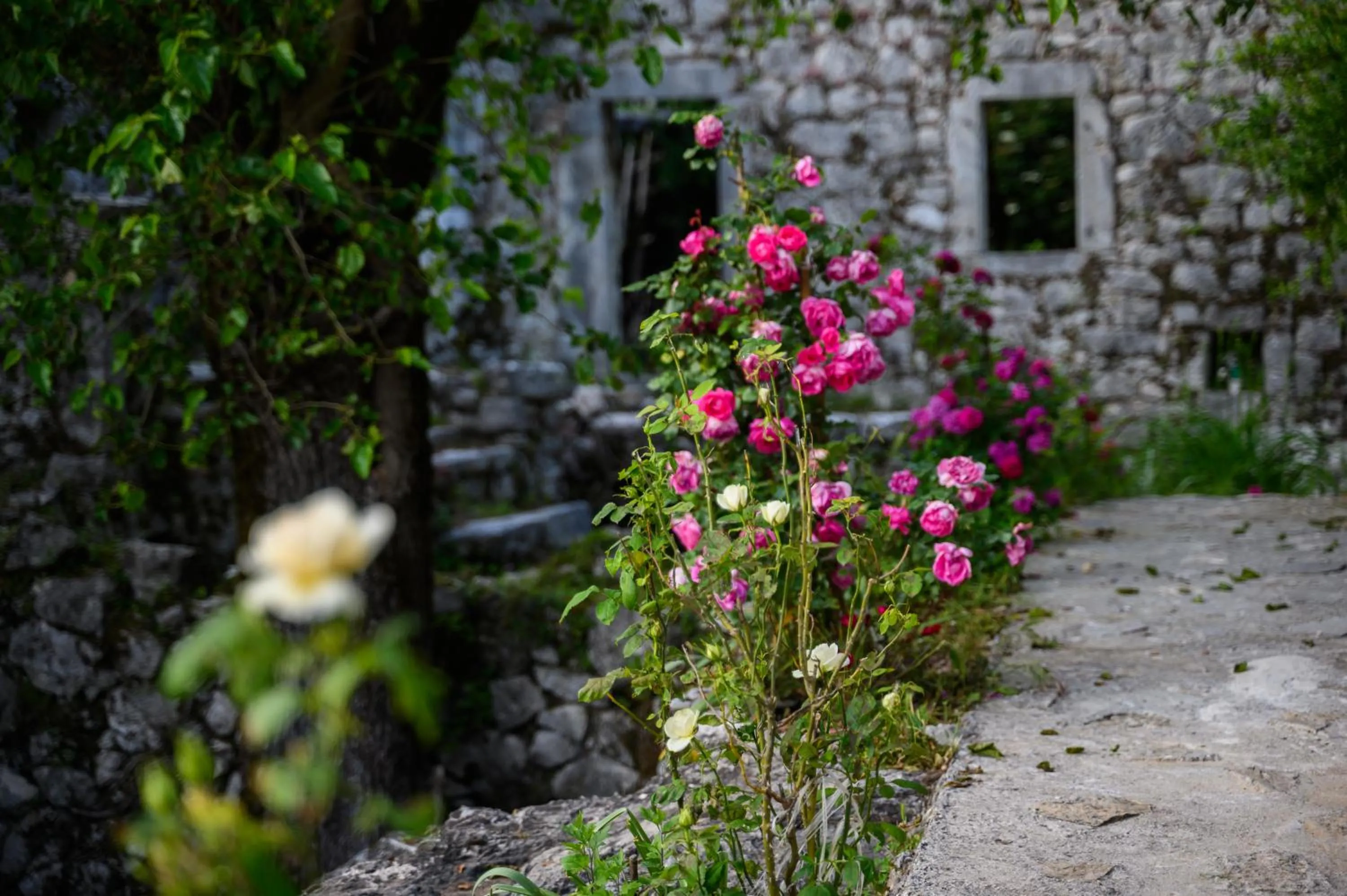 centuries old Ethno House Đurović