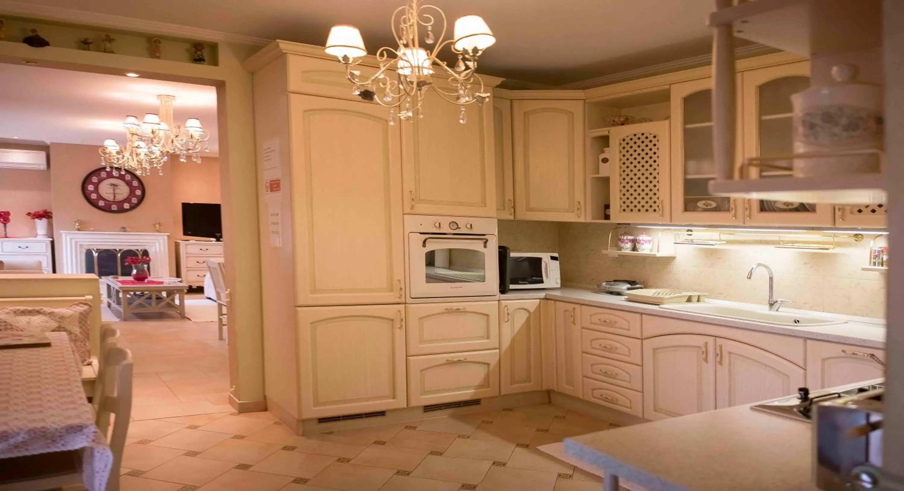 Communal kitchen in Luxury Family Villa Meteora