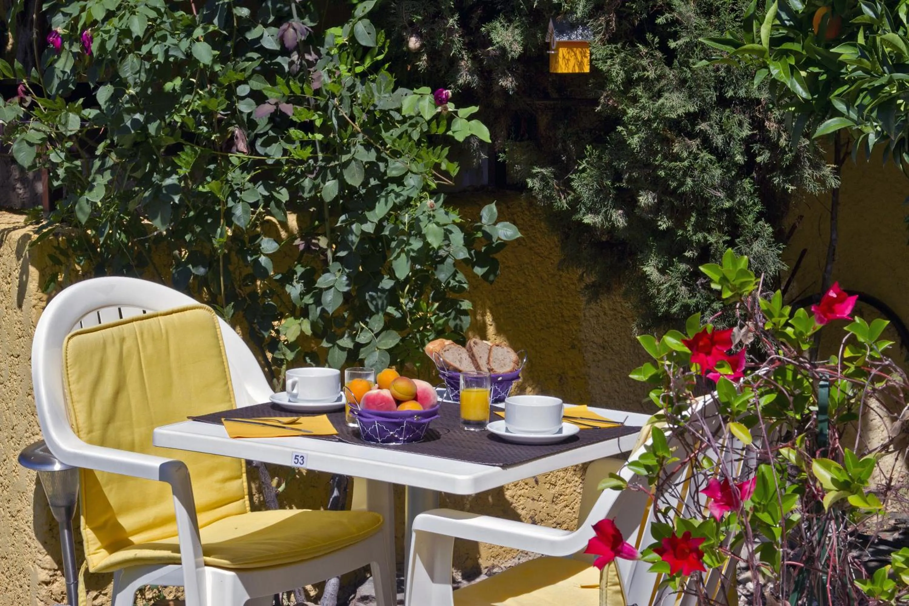 Patio in Hotel Princess