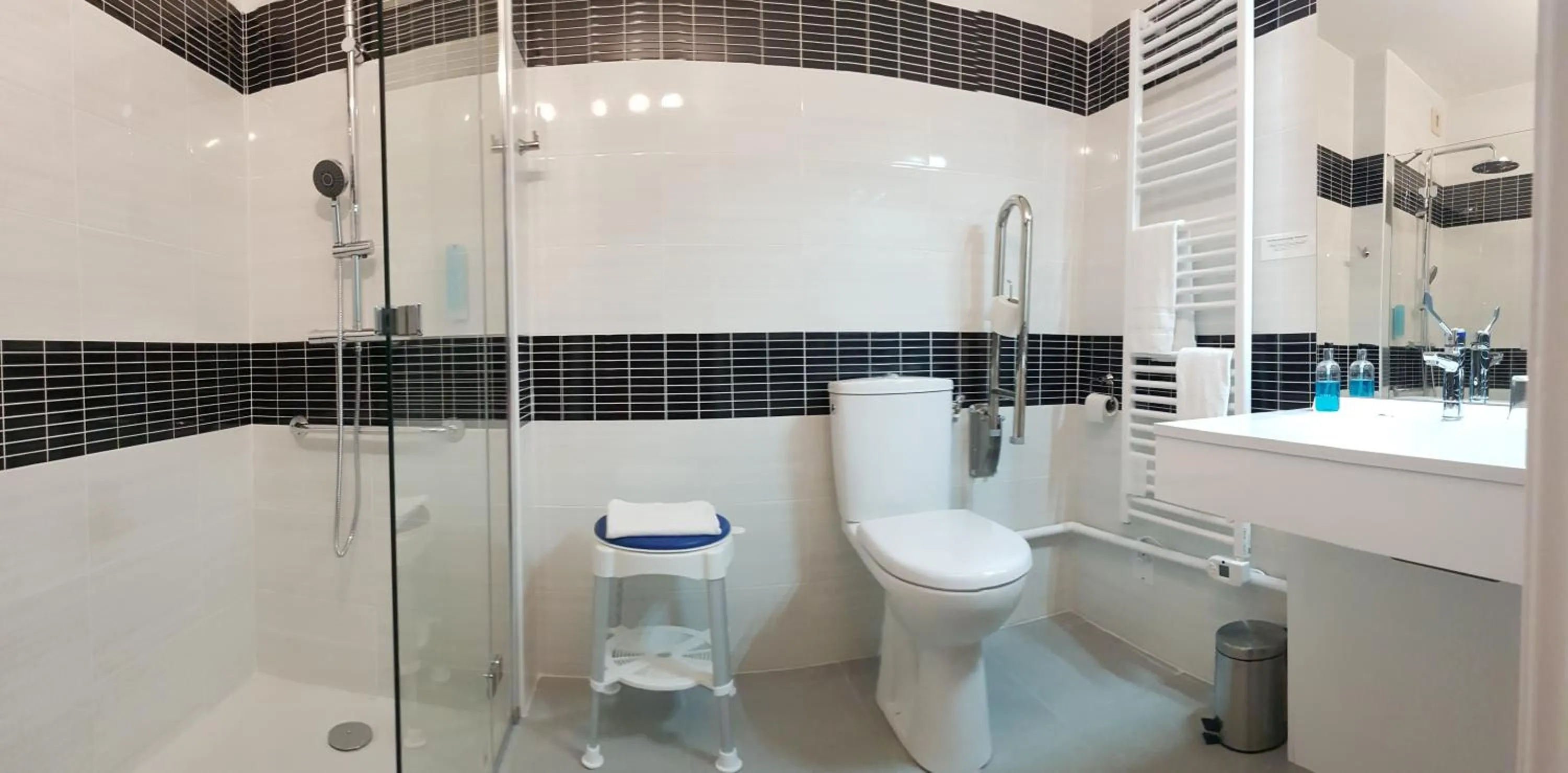 Facility for disabled guests in Hotel Princess