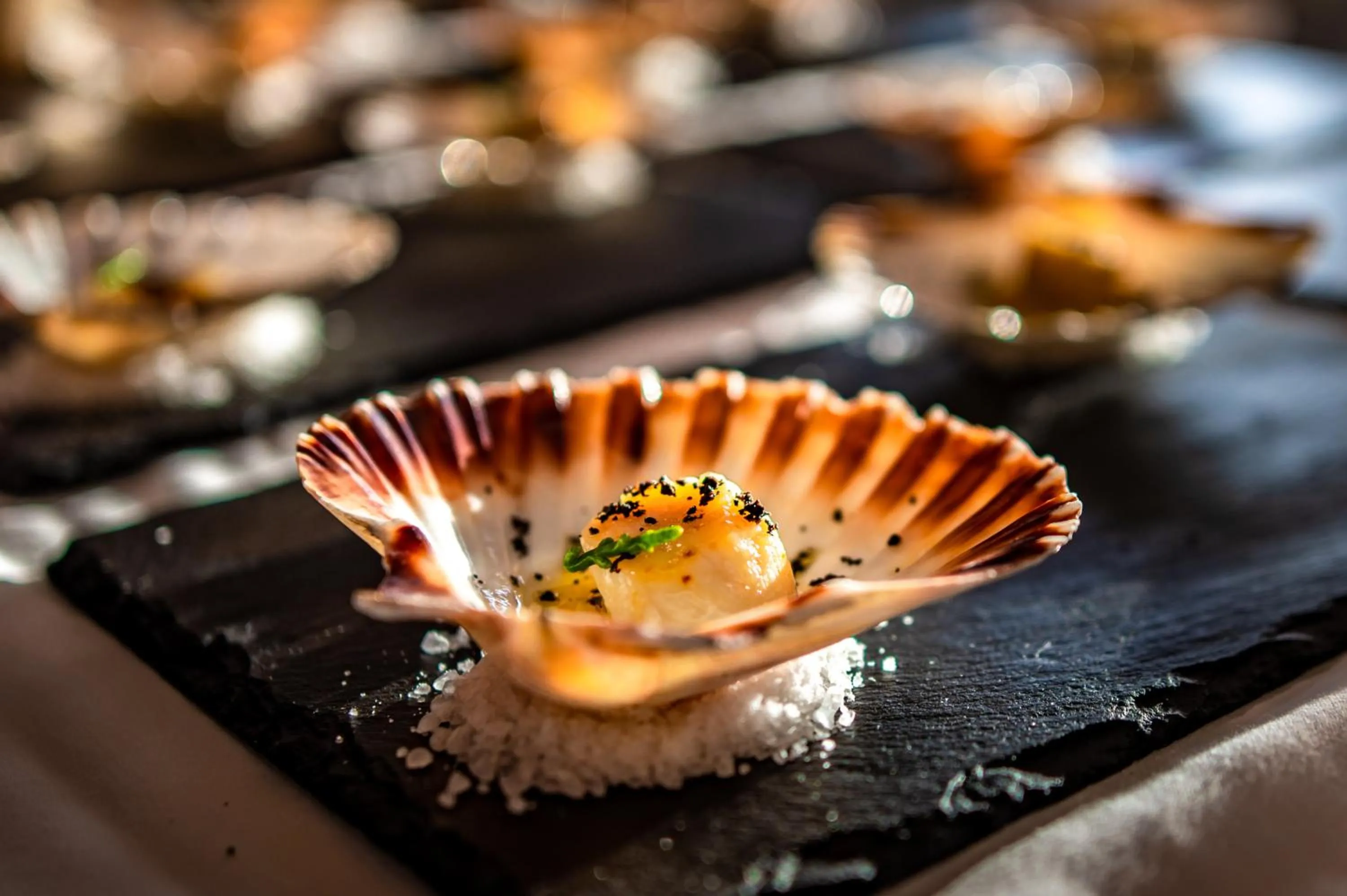 Restaurant/places to eat in Premantura Resort - Hotel & Restaurant