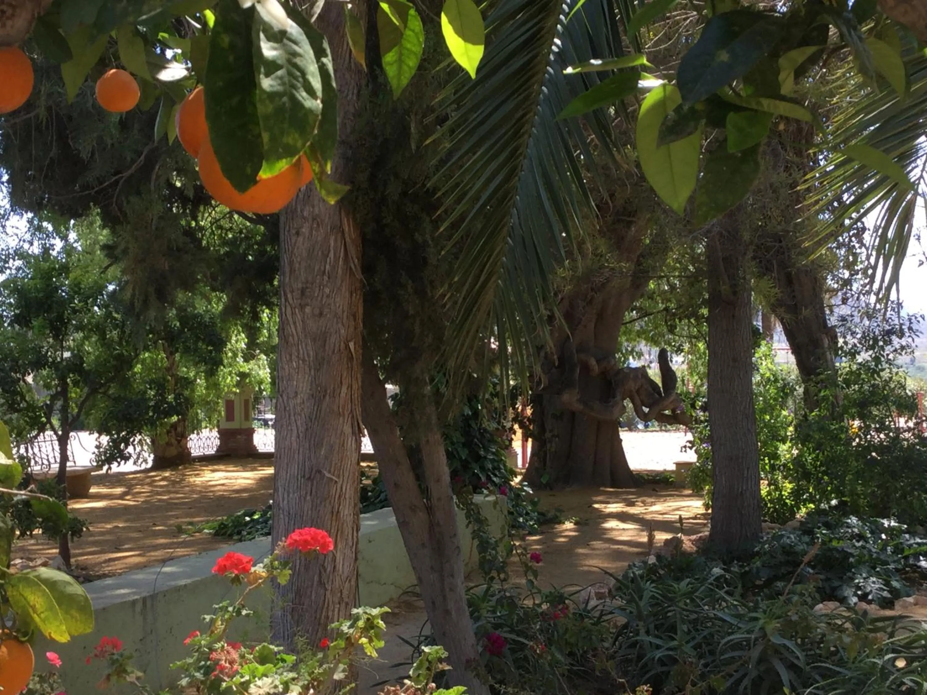 Garden in Finca La Florida De San Antonio