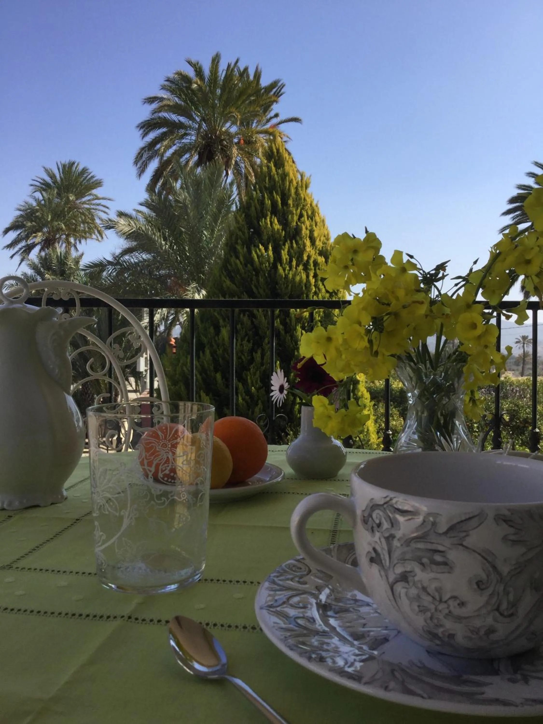 Garden view in Finca La Florida De San Antonio