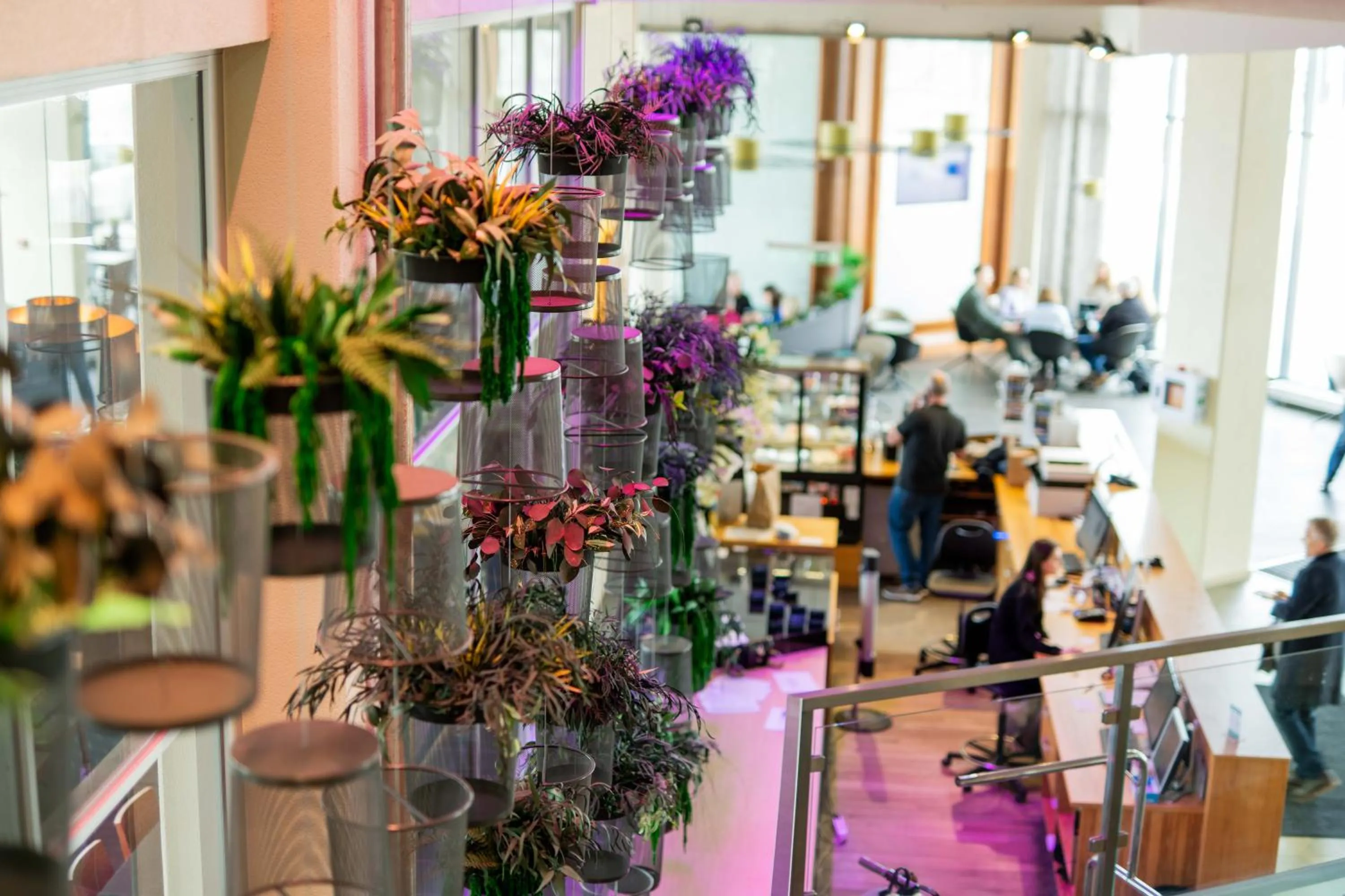 Lobby or reception in Hestia Hotel Europa