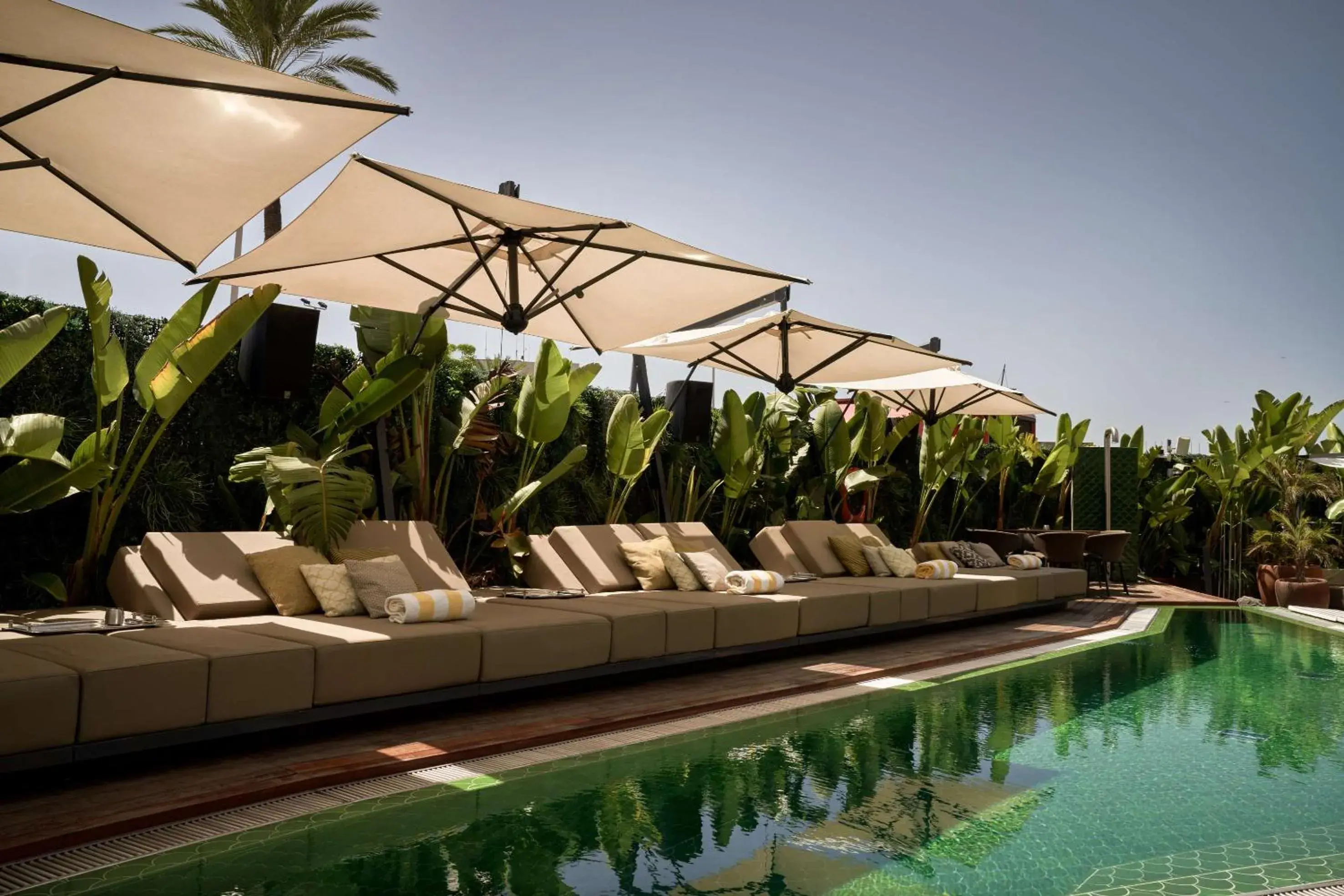 Pool view in Sir Joan Hotel, part of Sircle Collection Pool view in Sir Joan Hotel, part of Sircle Collection