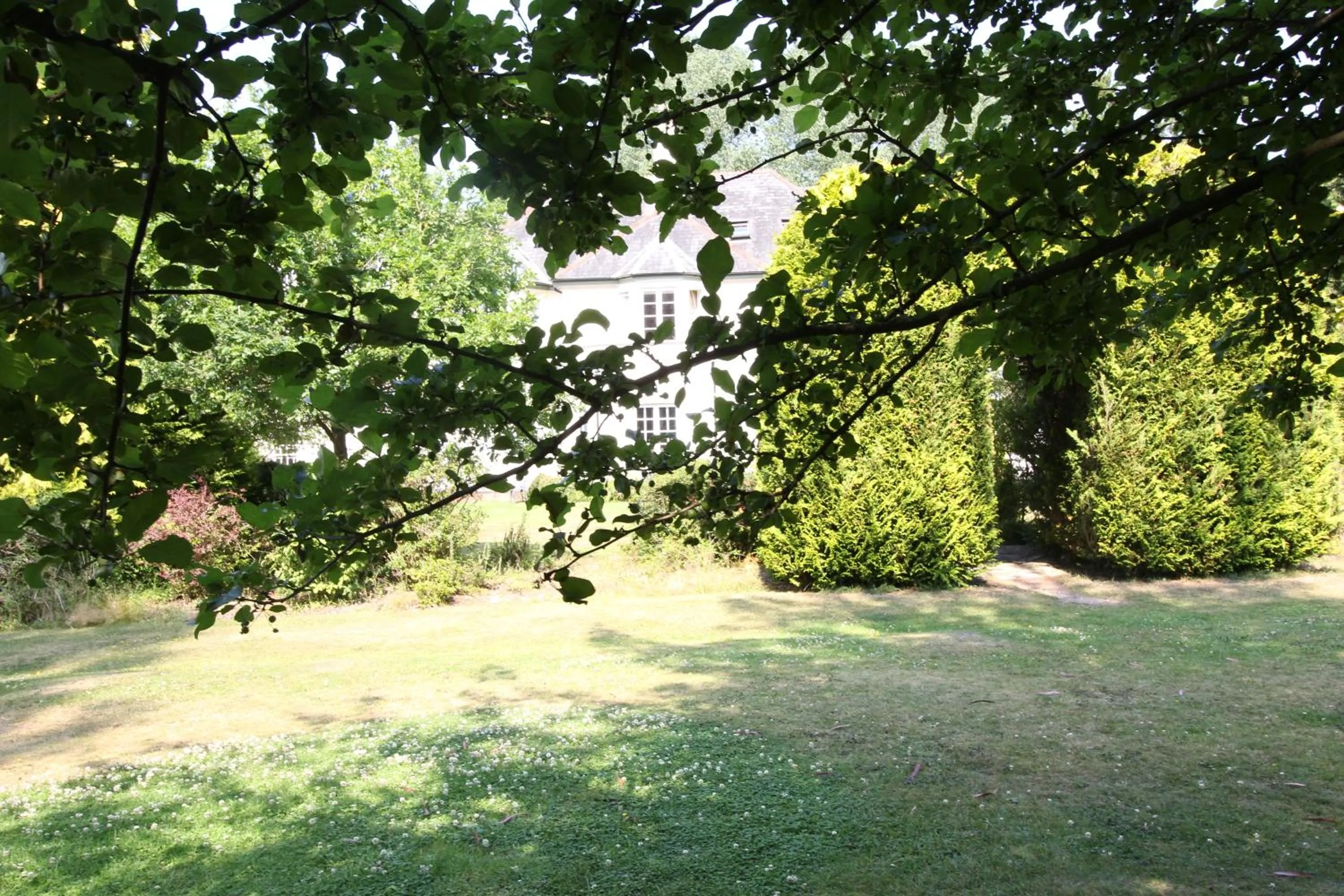 Garden in Woodlands Lodge Hotel