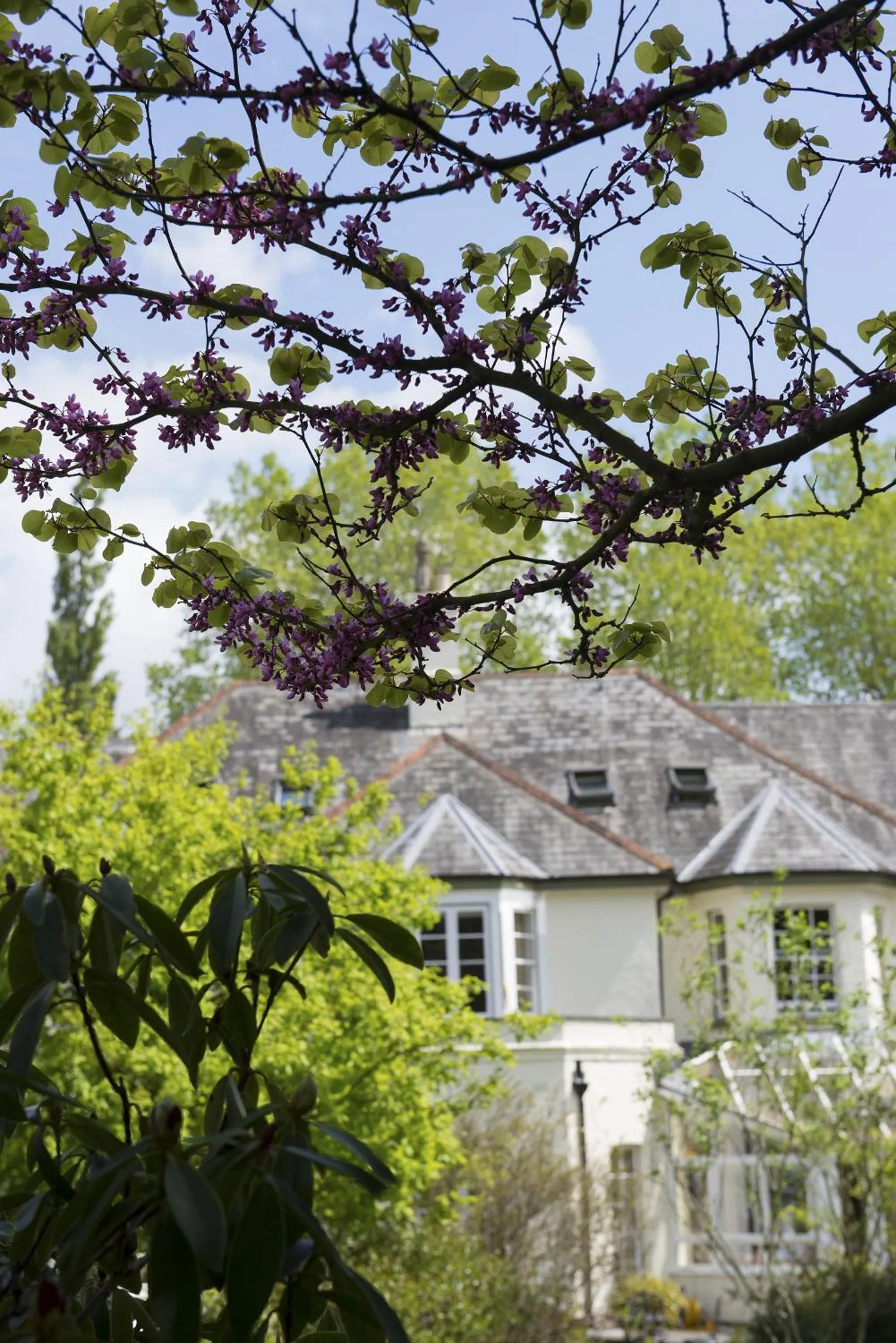 Garden view in Woodlands Lodge Hotel