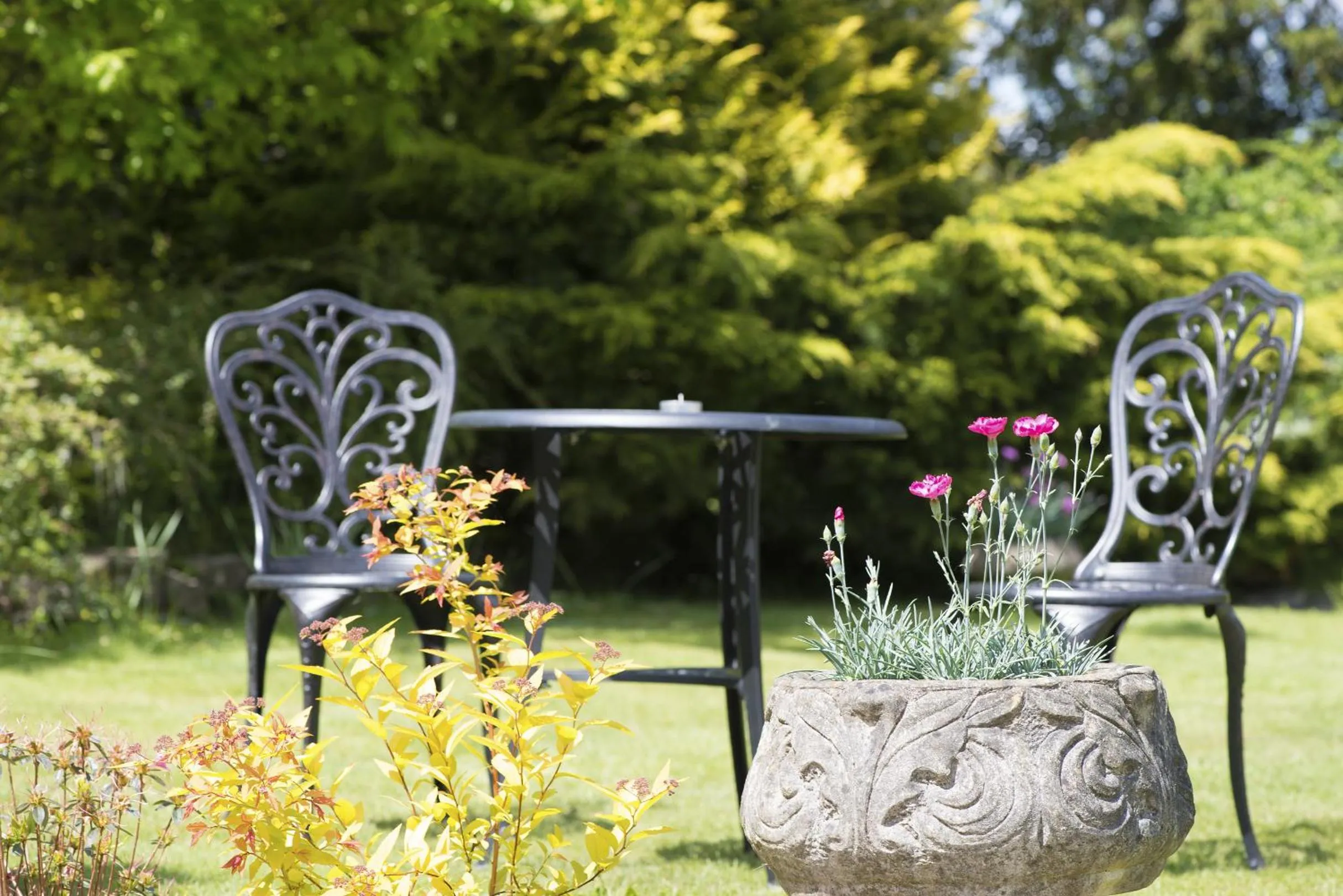 Natural landscape in Woodlands Lodge Hotel