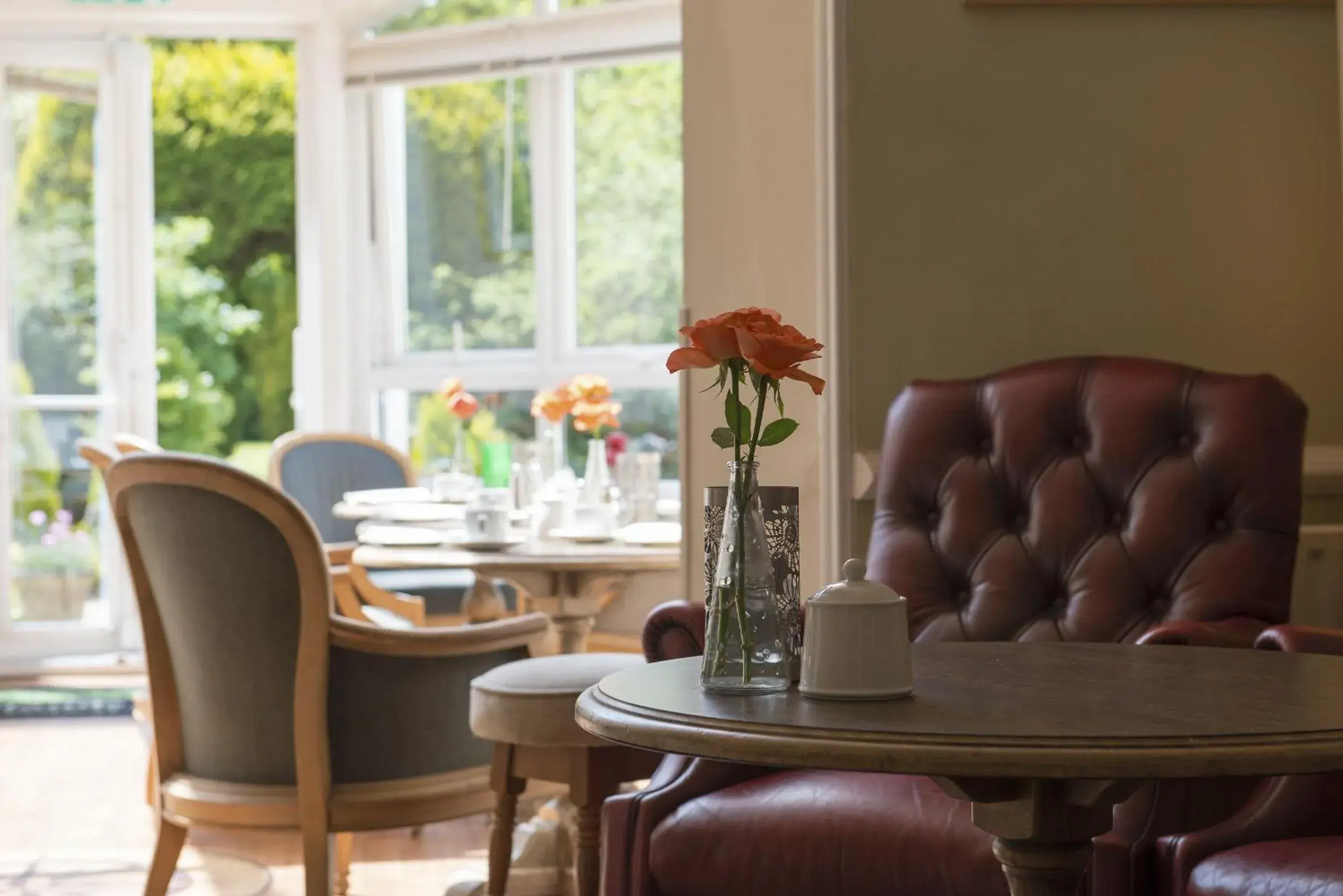 Lounge or bar in Woodlands Lodge Hotel Lounge or bar in Woodlands Lodge Hotel