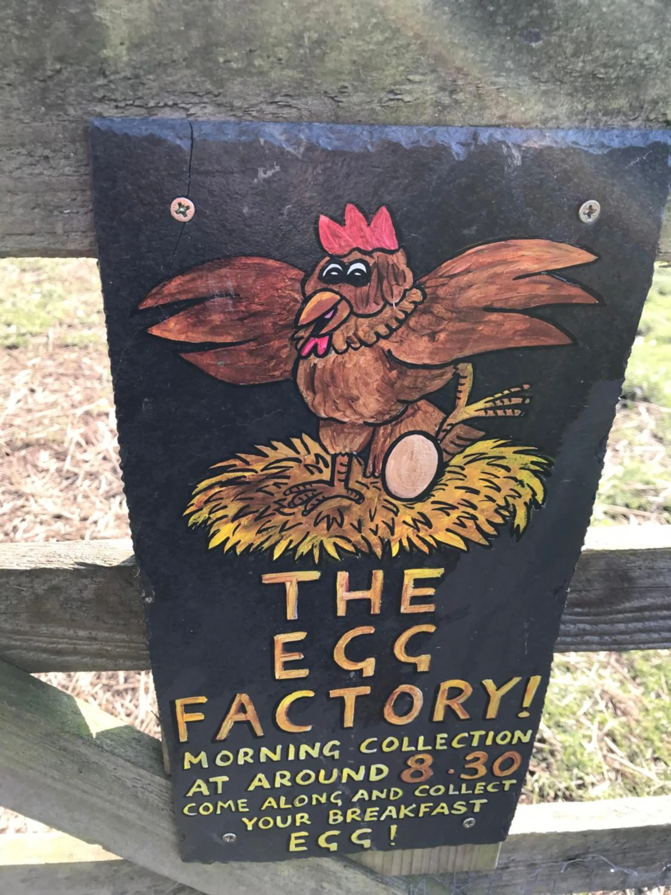 East Trayne Holiday Cottages
