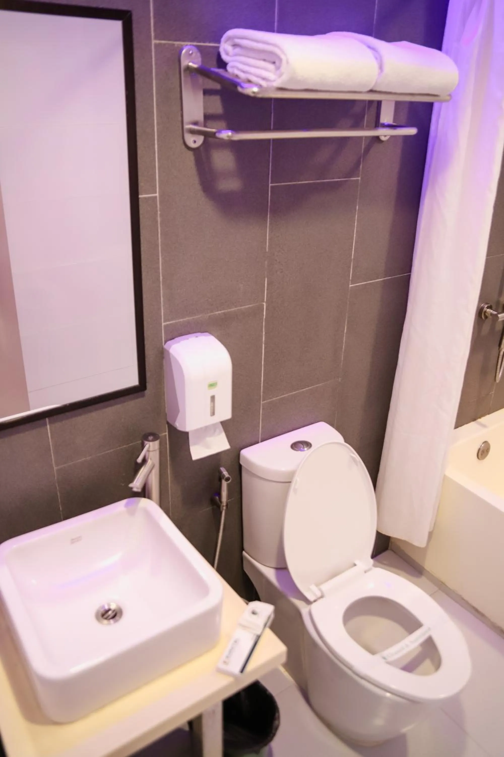 Bathroom in Eurotel Pedro Gil