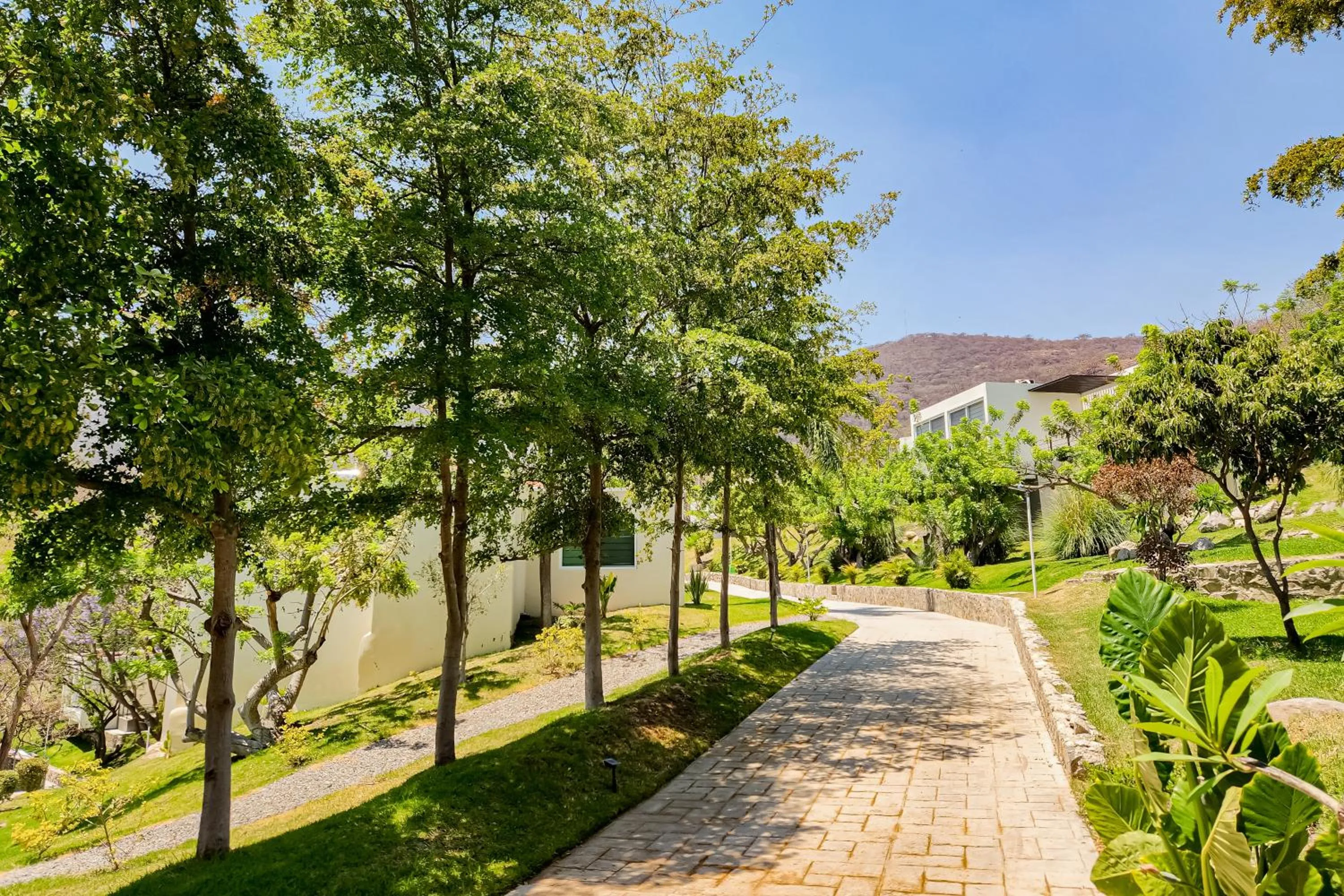 View (from property/room) in Memora Hotel & Villas Chapala