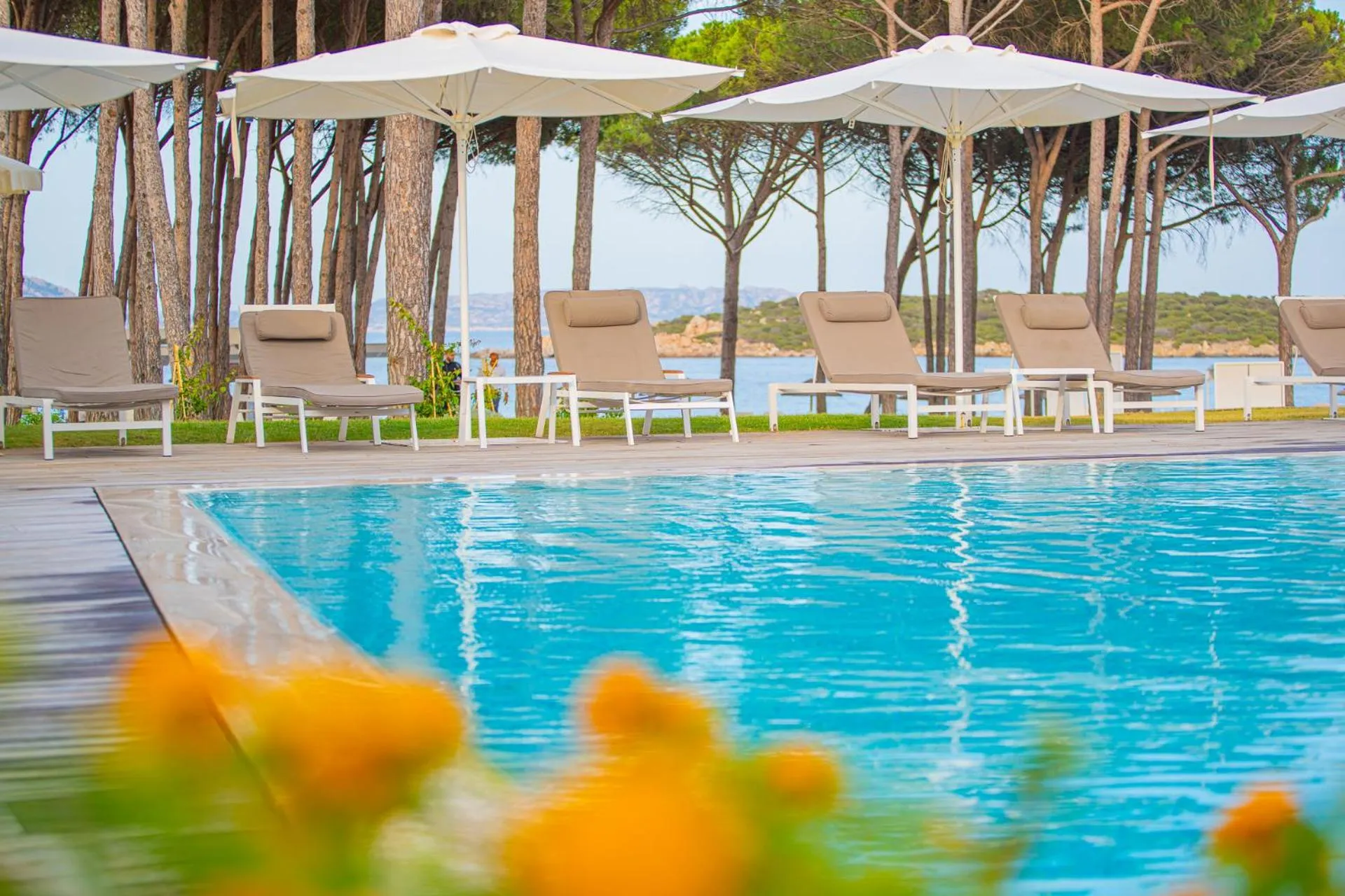 Natural landscape in Felix Hotels - Hotel La Coluccia