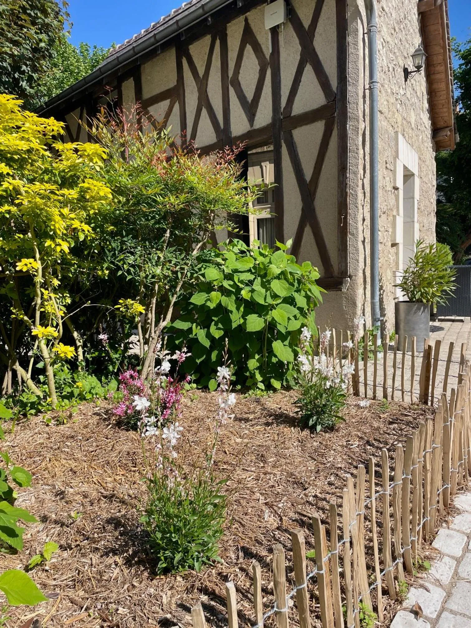 Garden in Le Pavillon des Lys - Hôtel Particulier