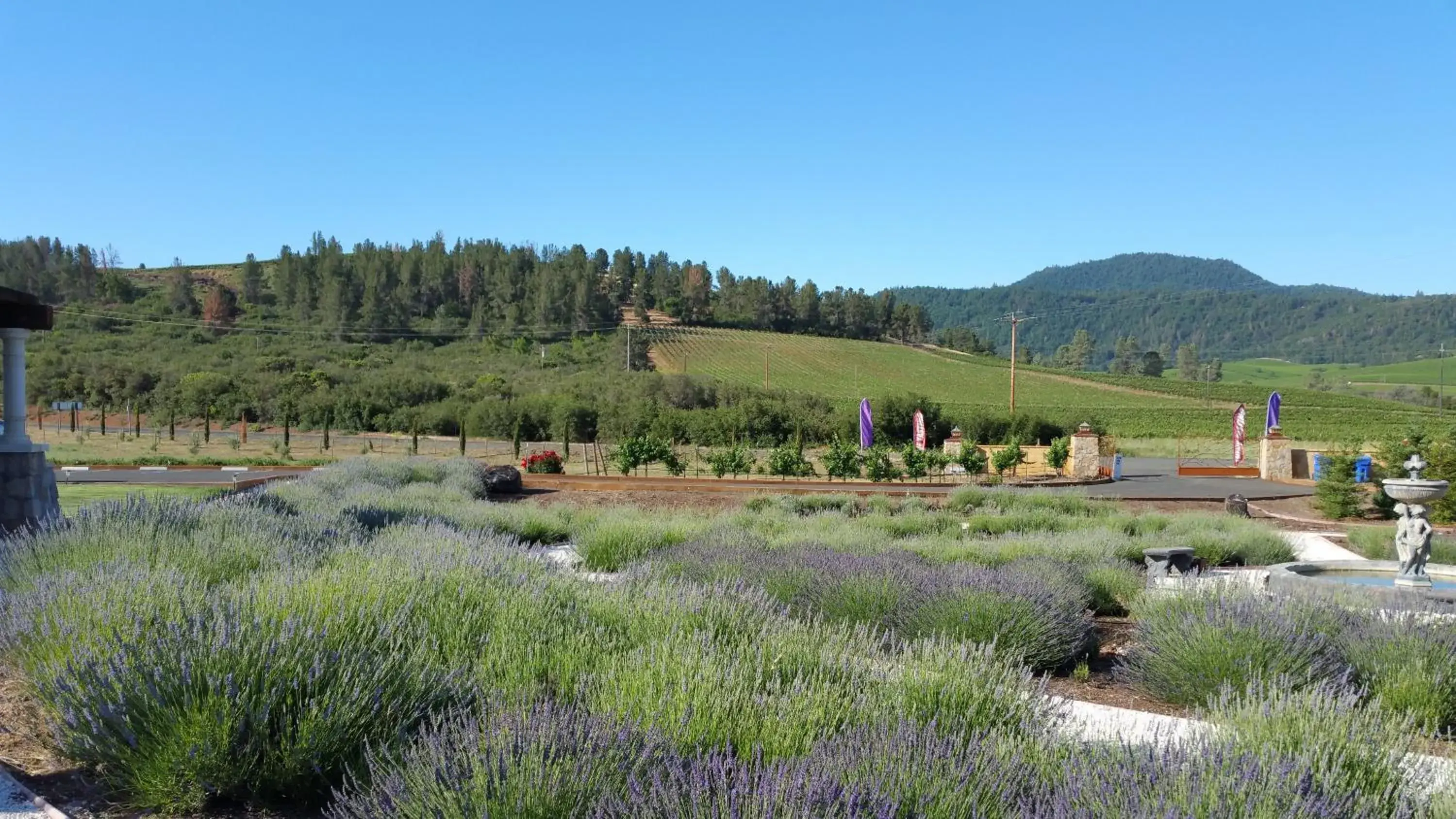 Garden view in Thorn Hill Vineyards Villa Suites Garden view in Thorn Hill Vineyards Villa Suites