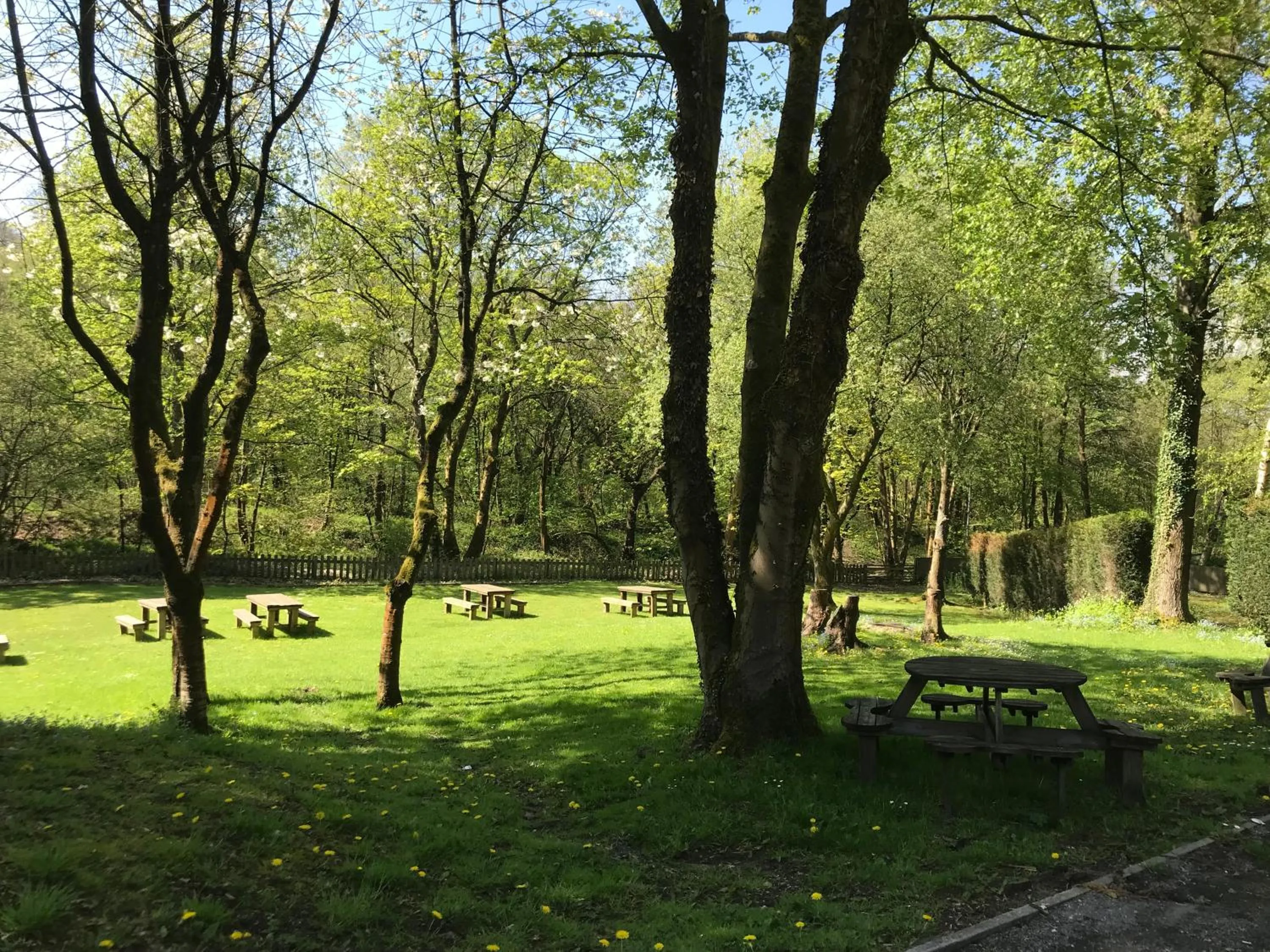 Garden in The Sycamore Inn