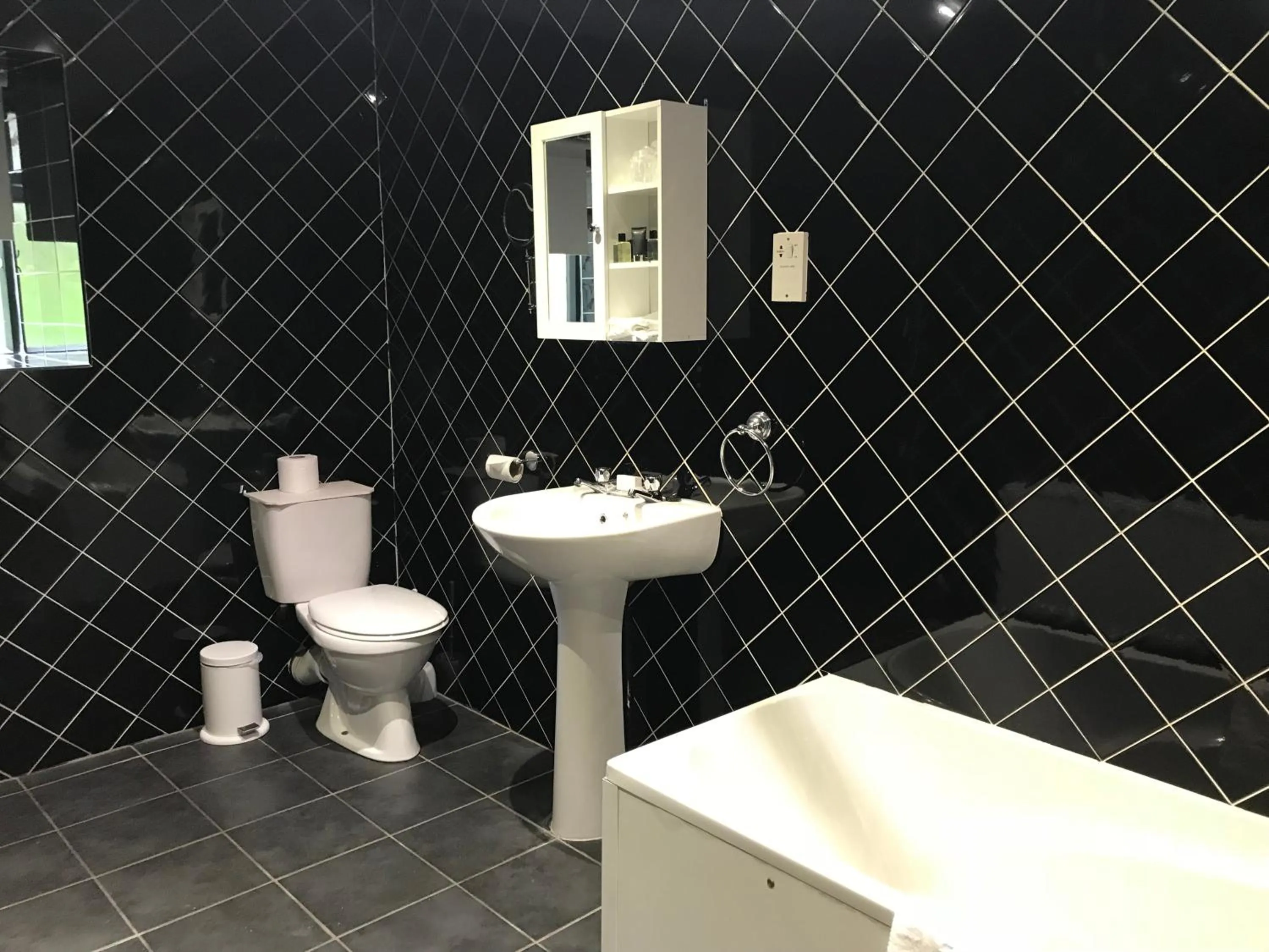 Toilet in The Sycamore Inn