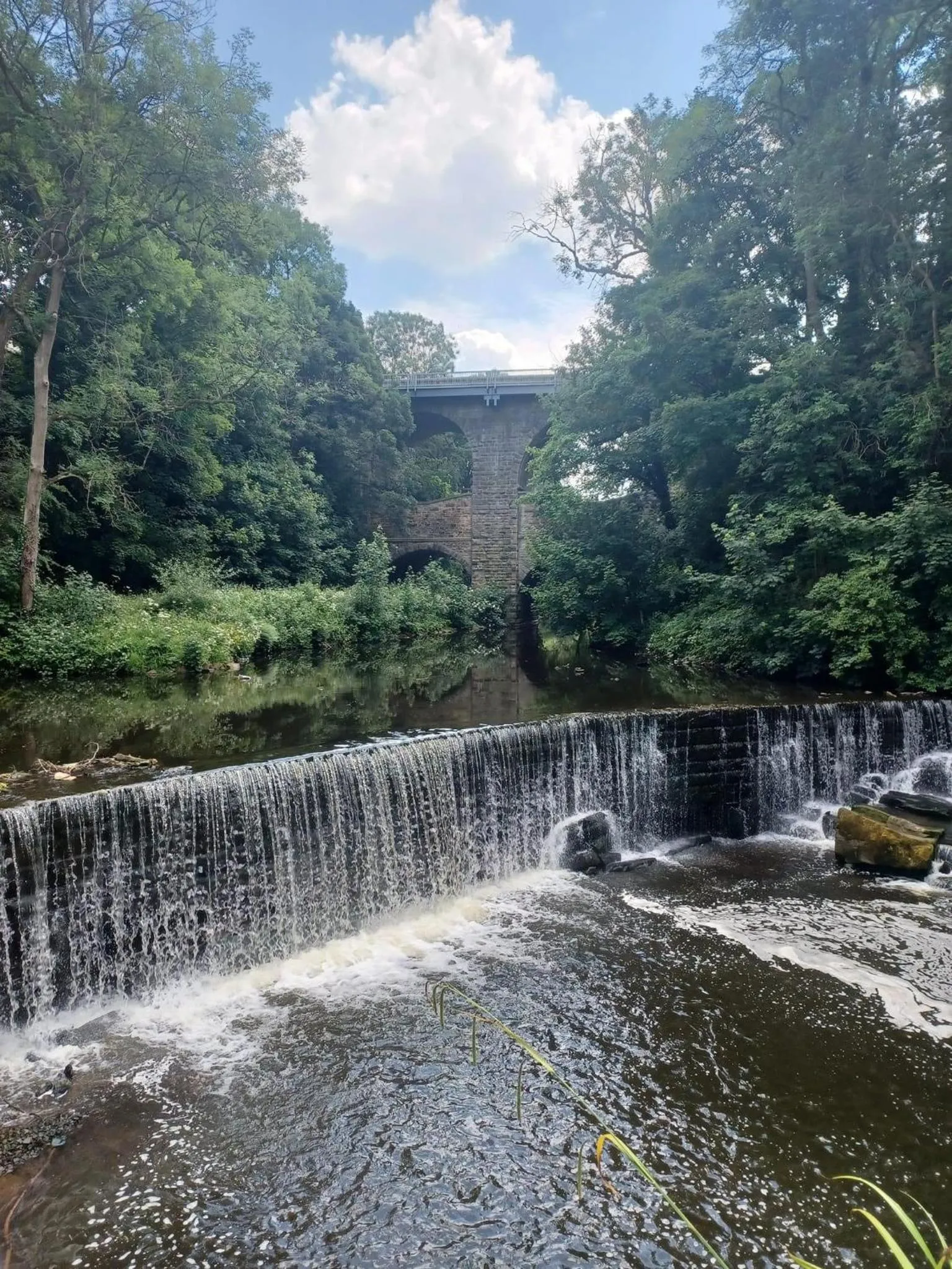 Nearby landmark in The Sycamore Inn