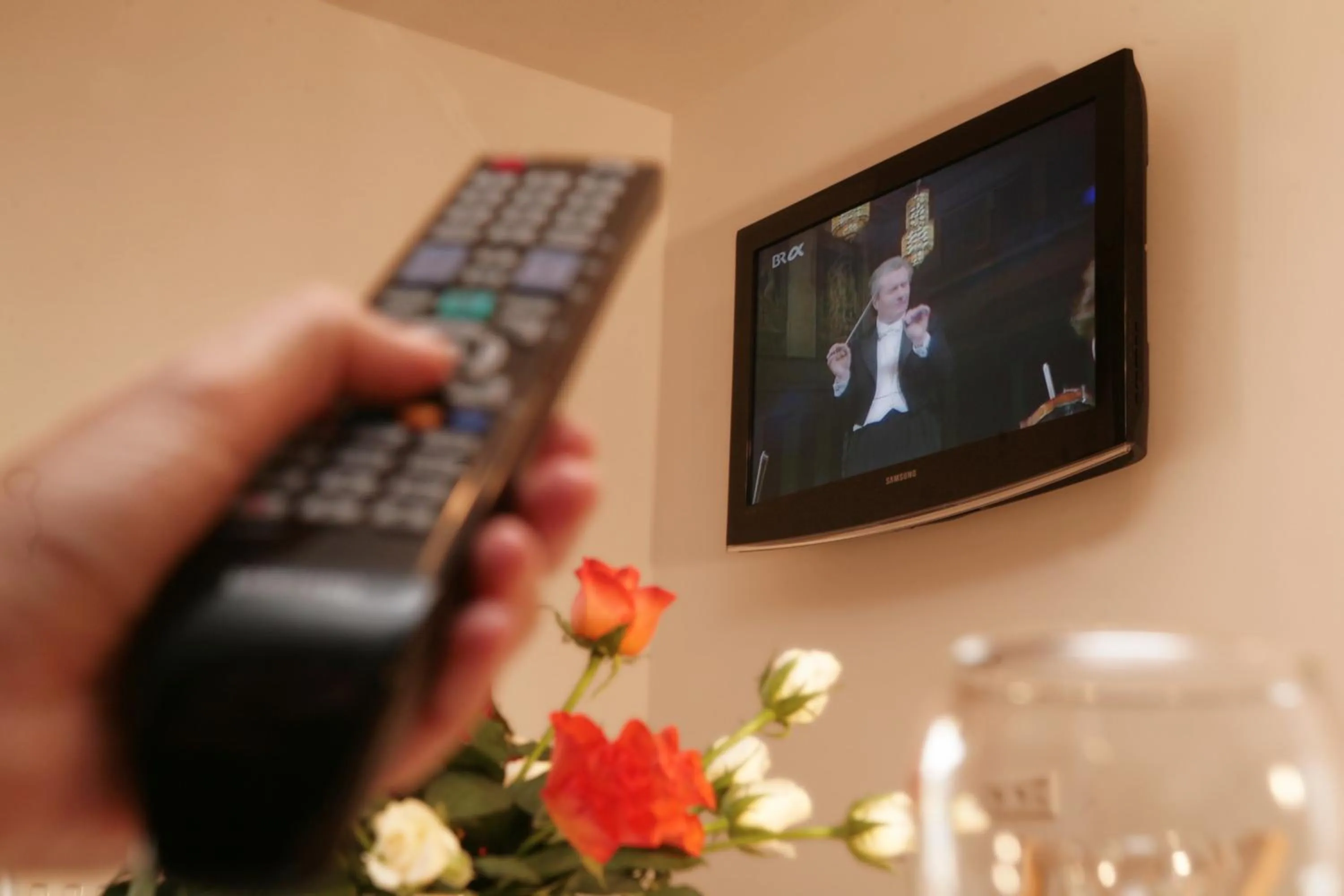 TV and multimedia in Apartmenthaus Gotthardt