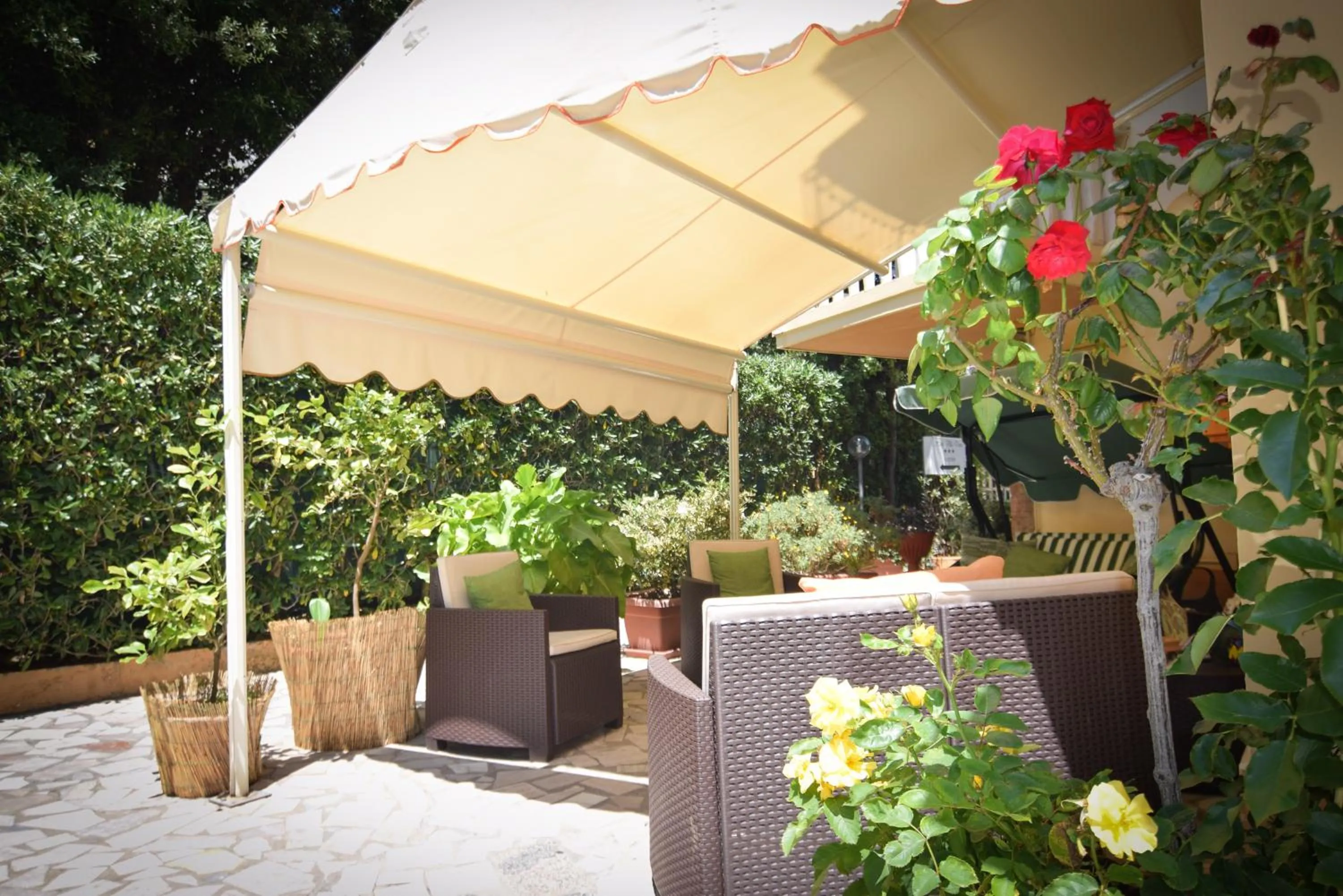 Garden in Hotel Villa Denia