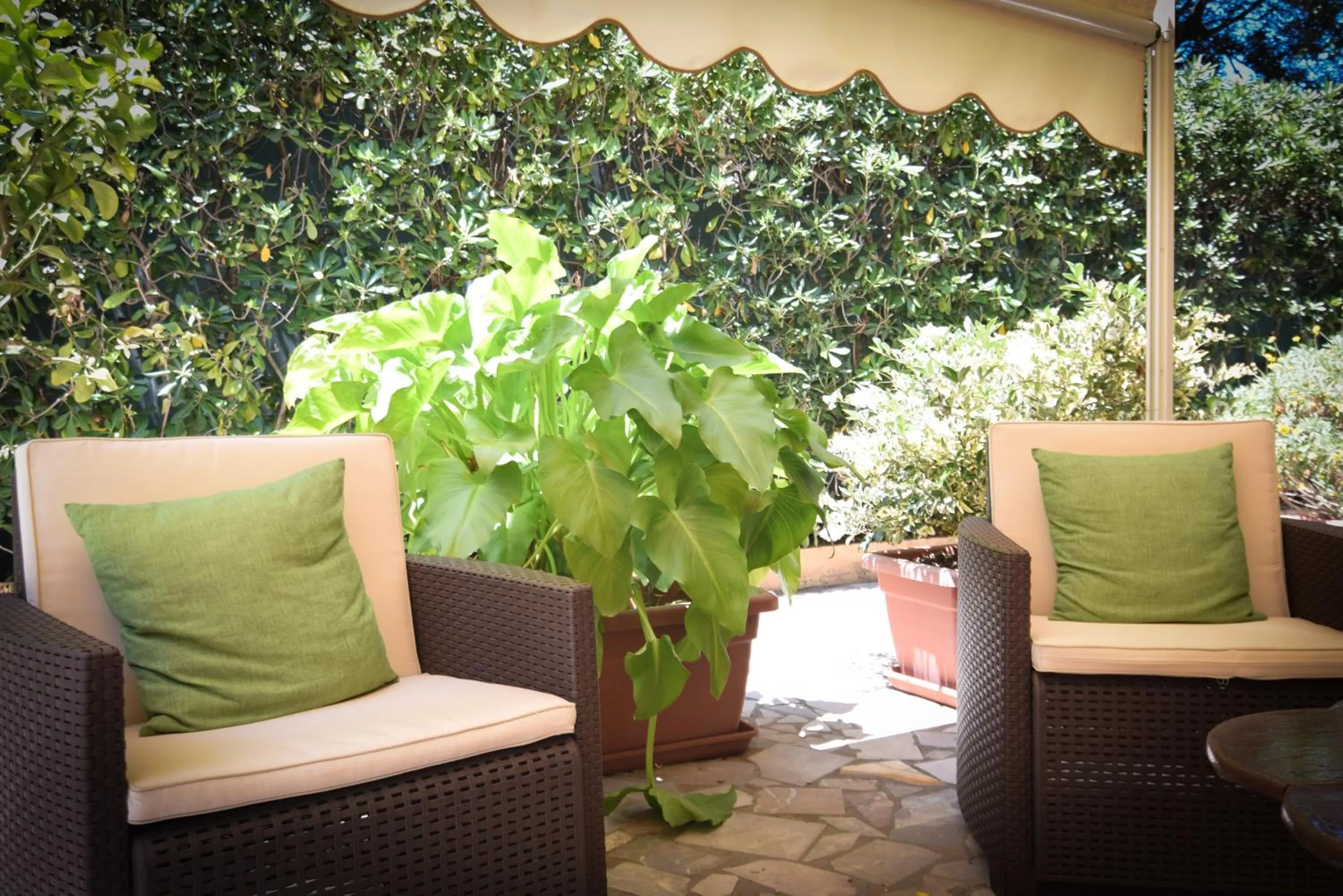 Garden in Hotel Villa Denia