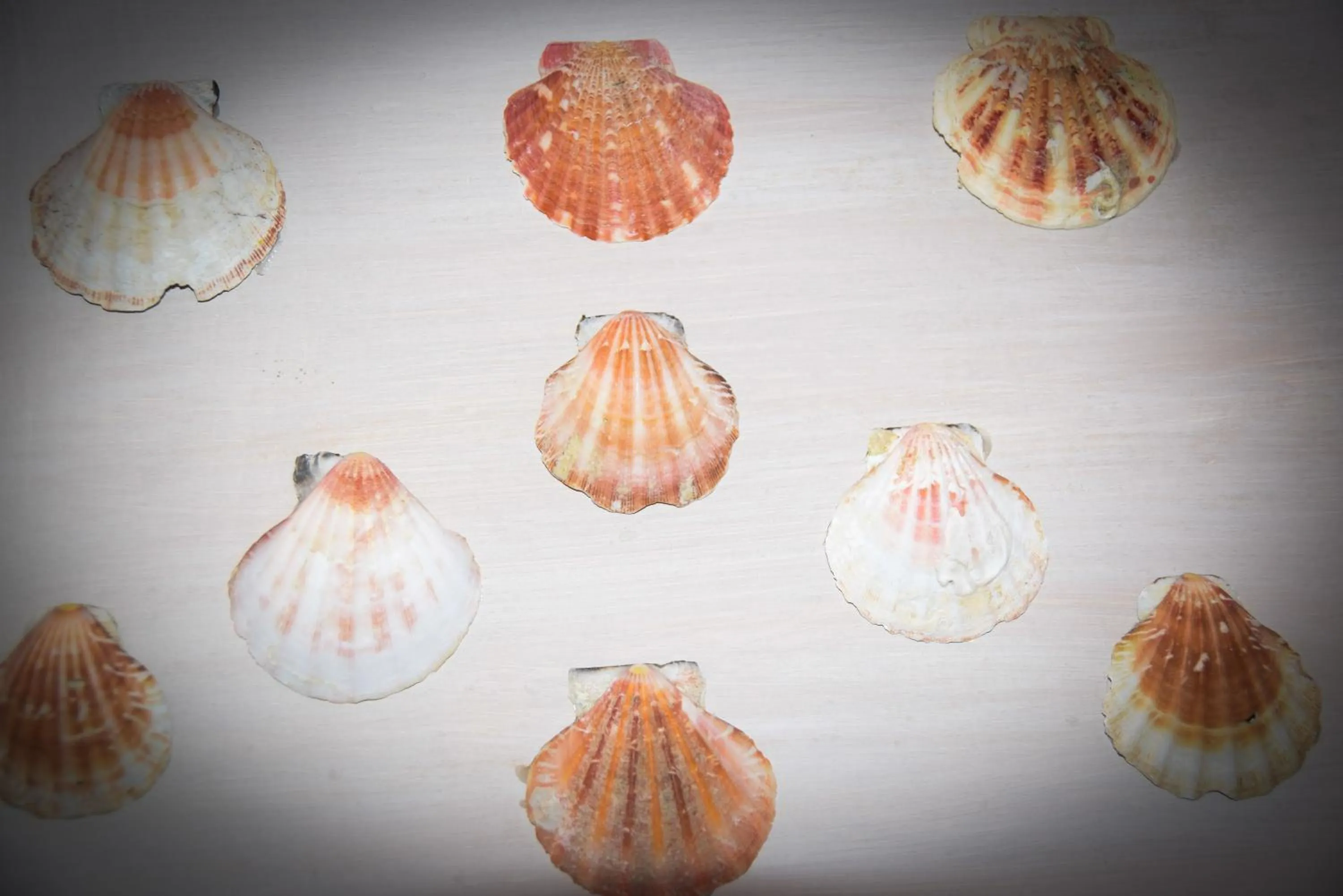 Decorative detail in Hotel Villa Denia