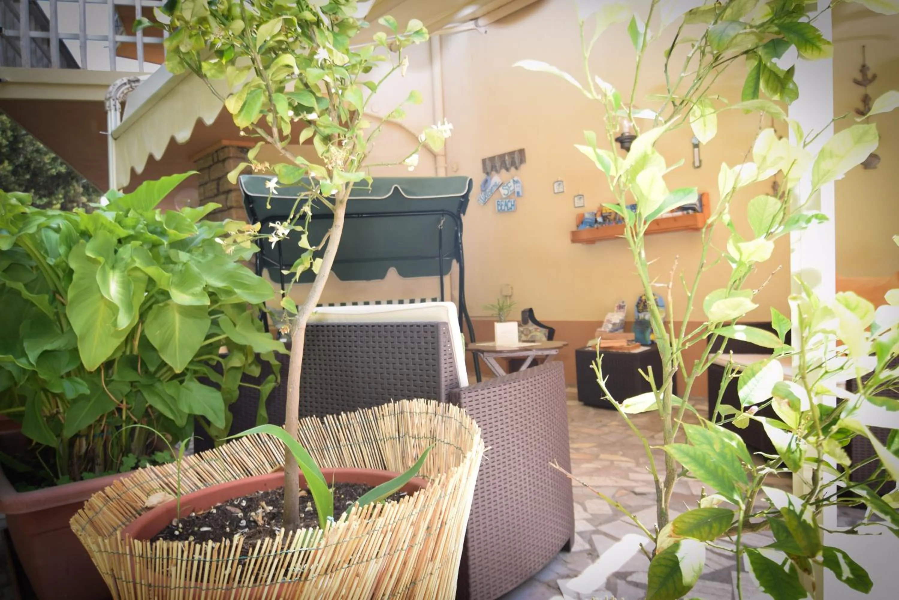 Garden in Hotel Villa Denia