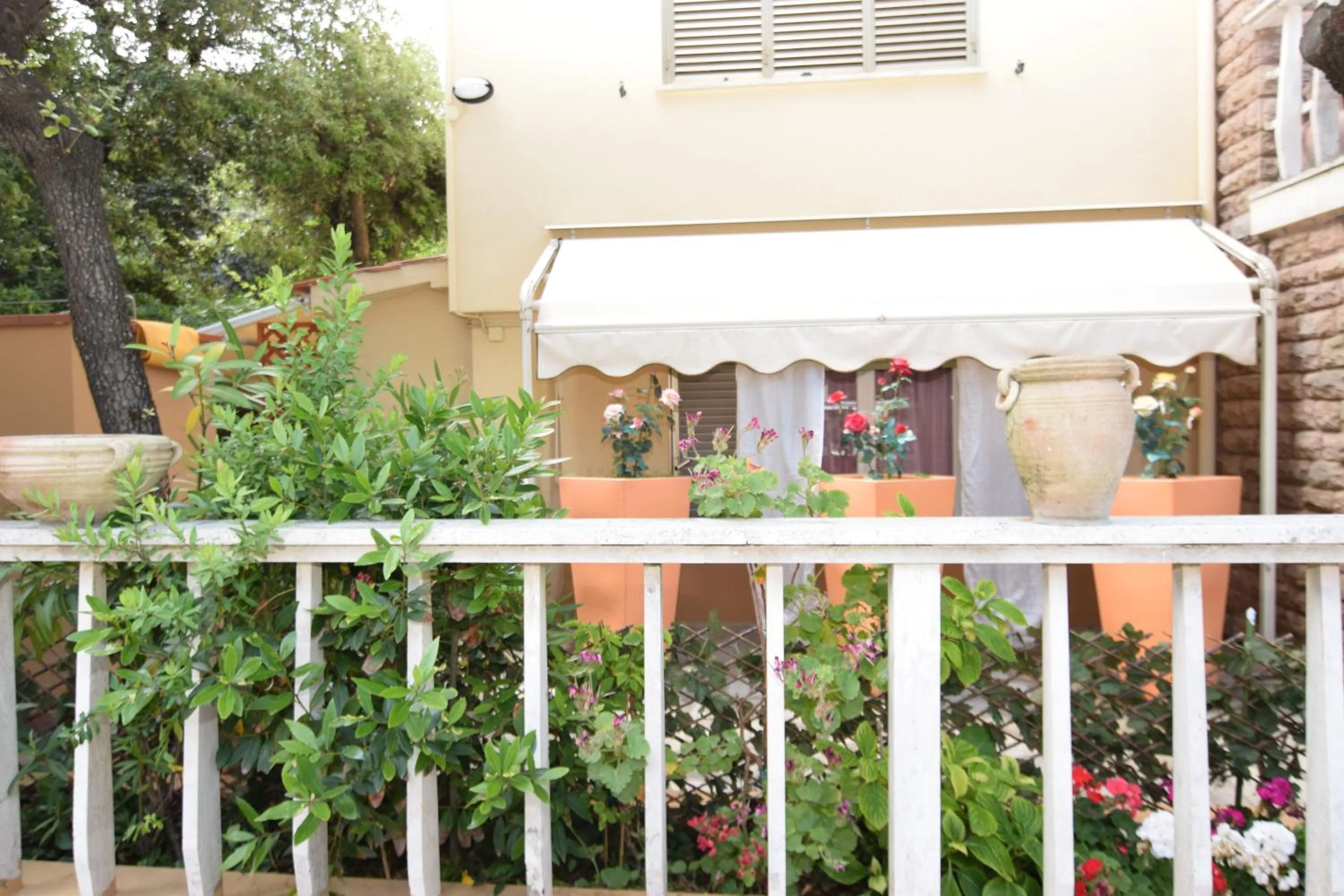 Garden in Hotel Villa Denia