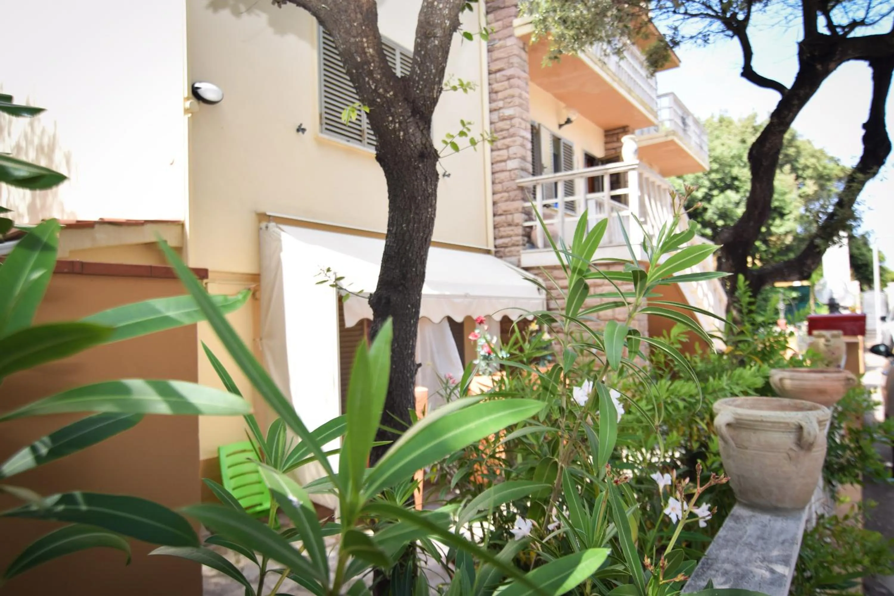 Garden view in Hotel Villa Denia