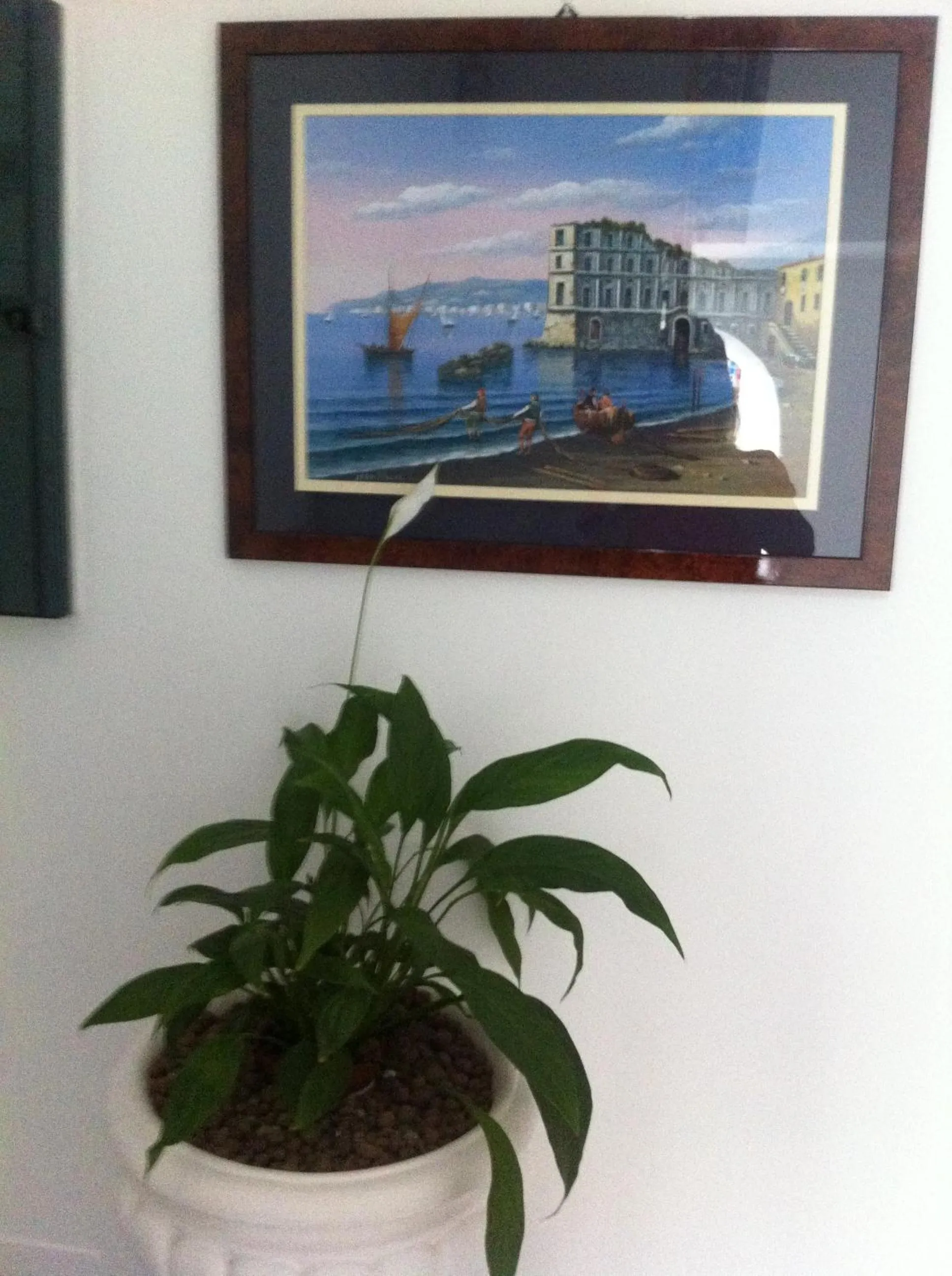 Decorative detail in Excelsior Mare Suite