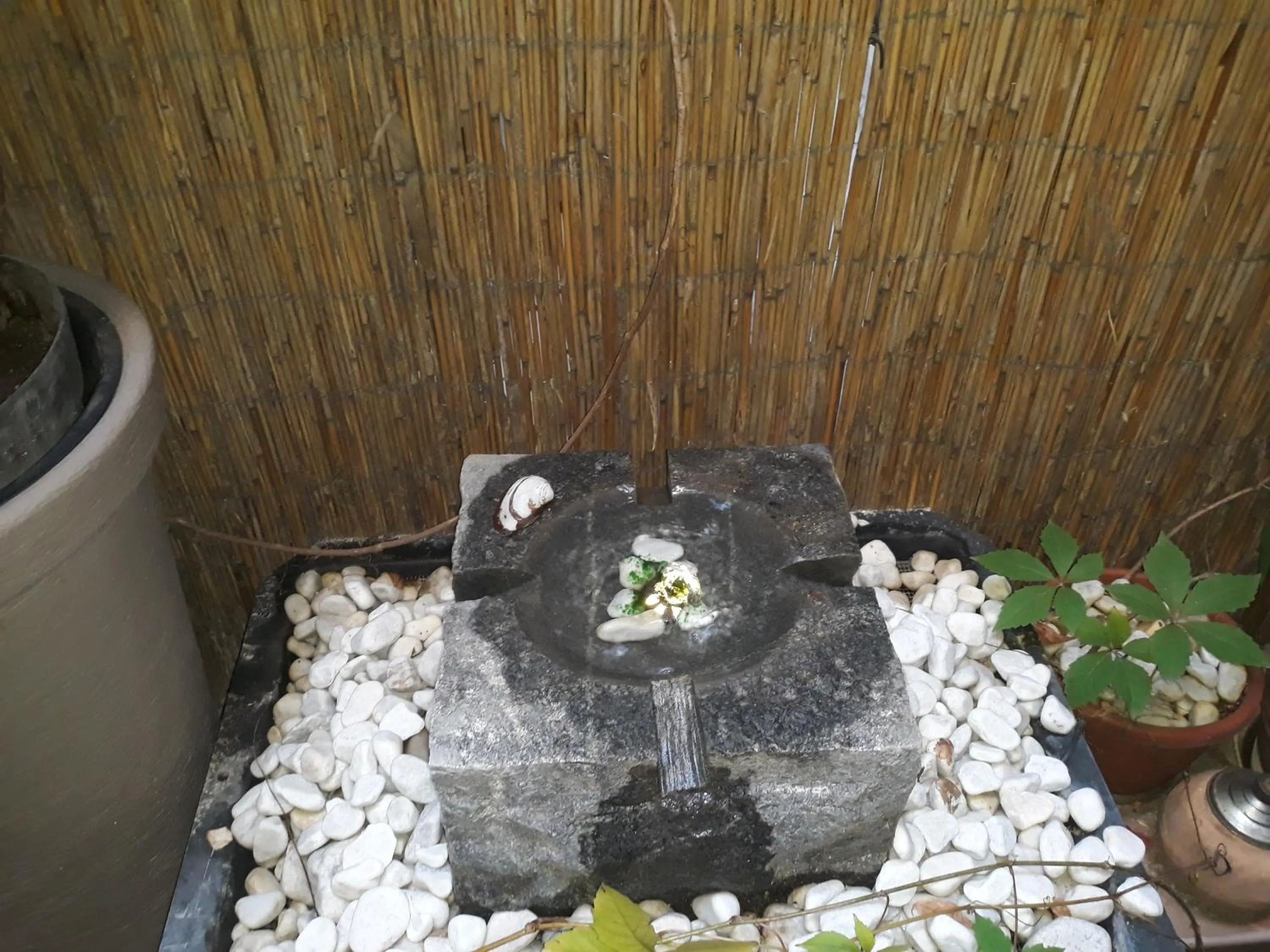 Garden in Connection Guesthouse