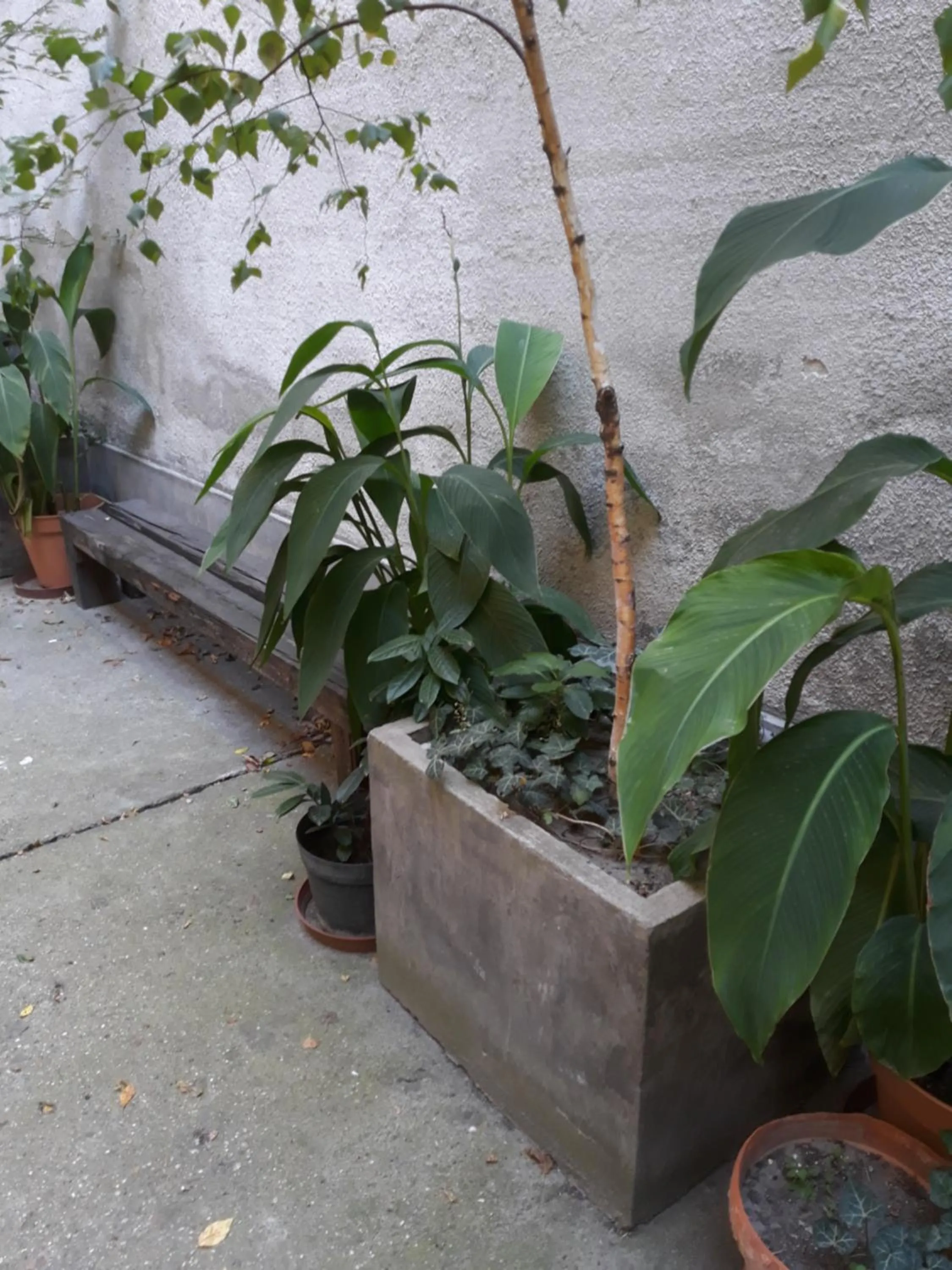 Garden in Connection Guesthouse