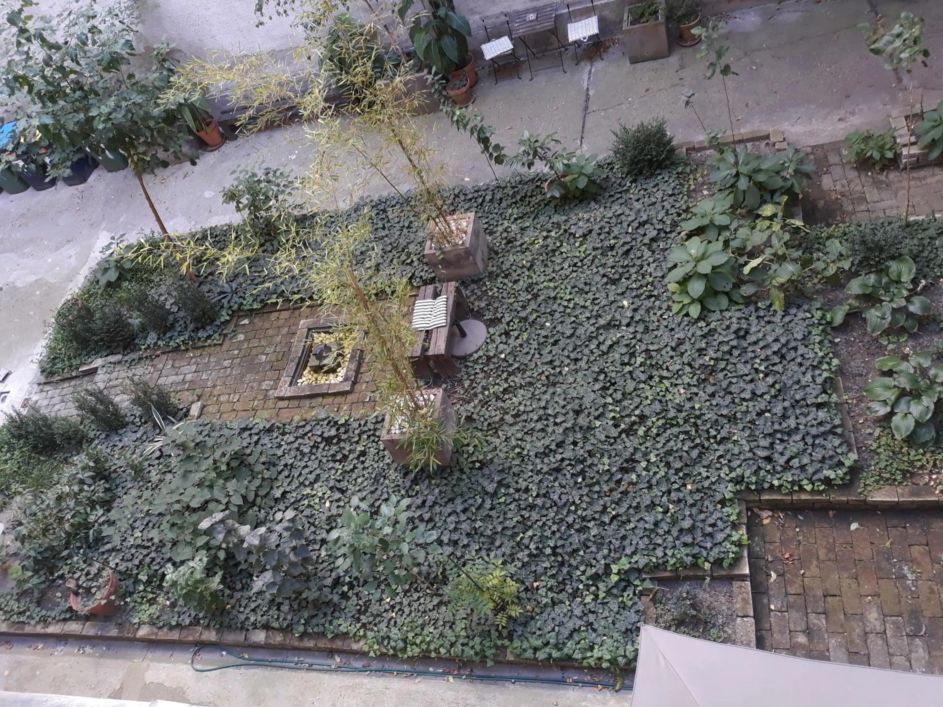 Garden view in Connection Guesthouse