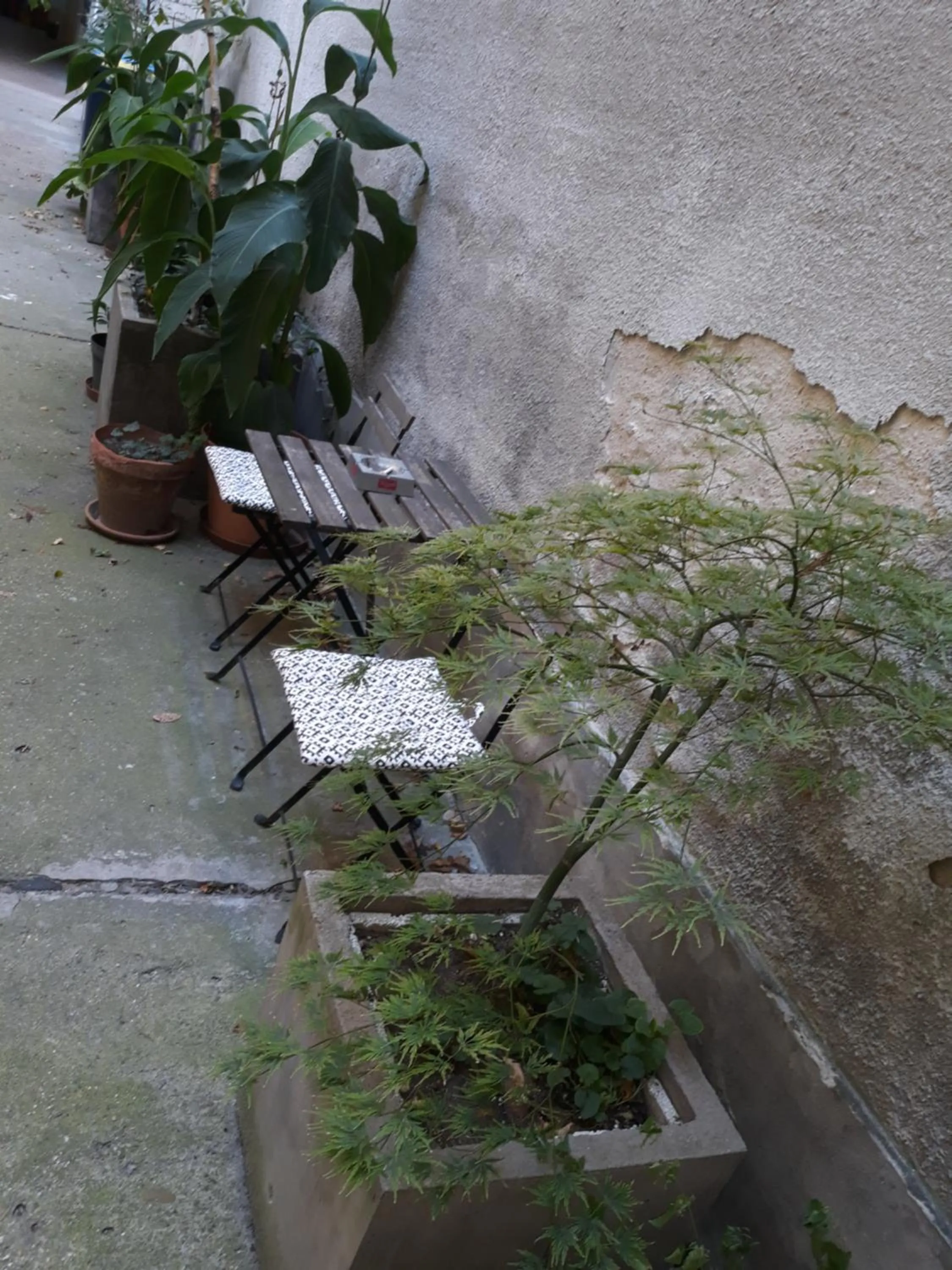 Garden in Connection Guesthouse