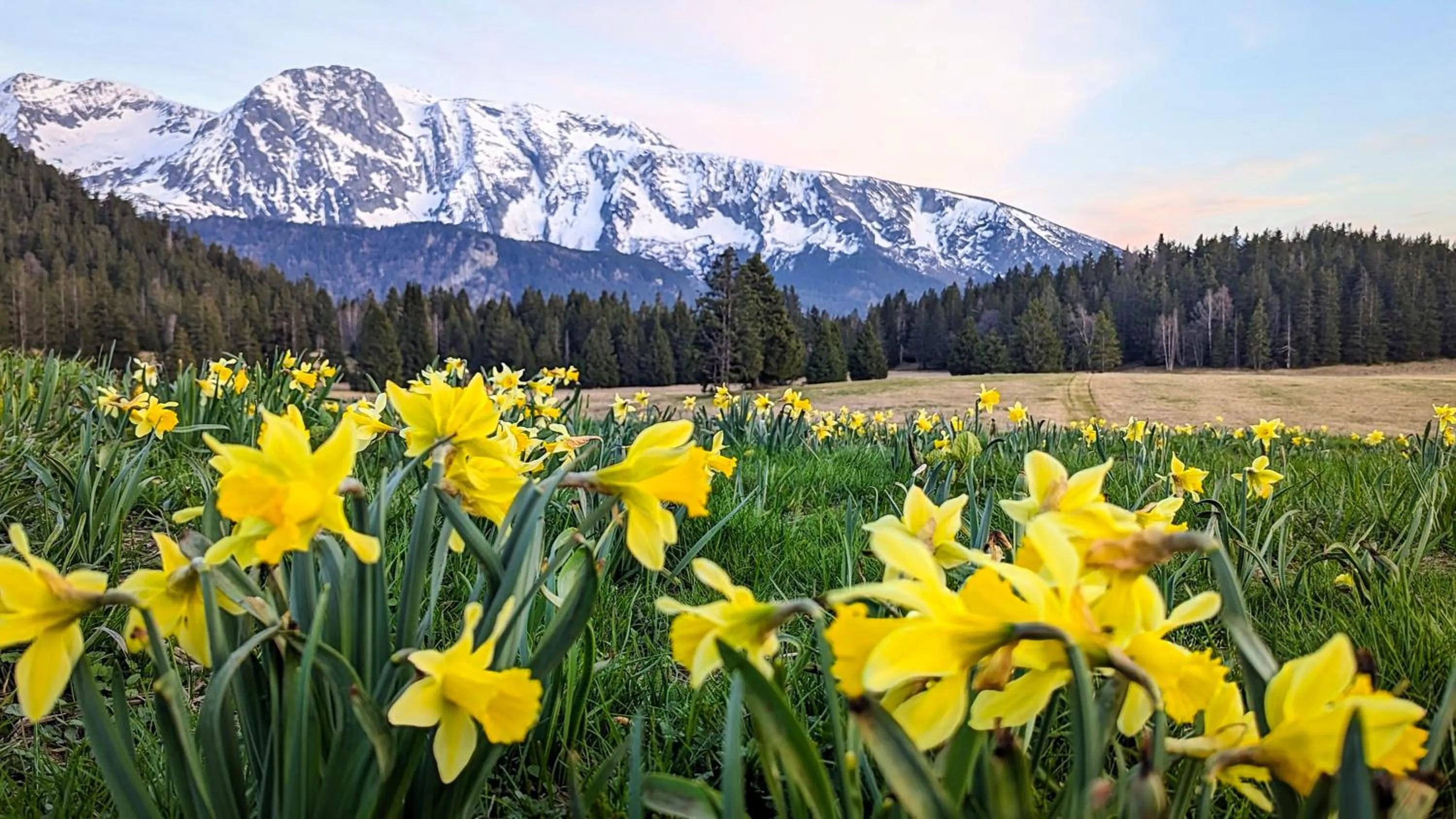 Nearby landmark in Résidence Les Villages du Bachat
