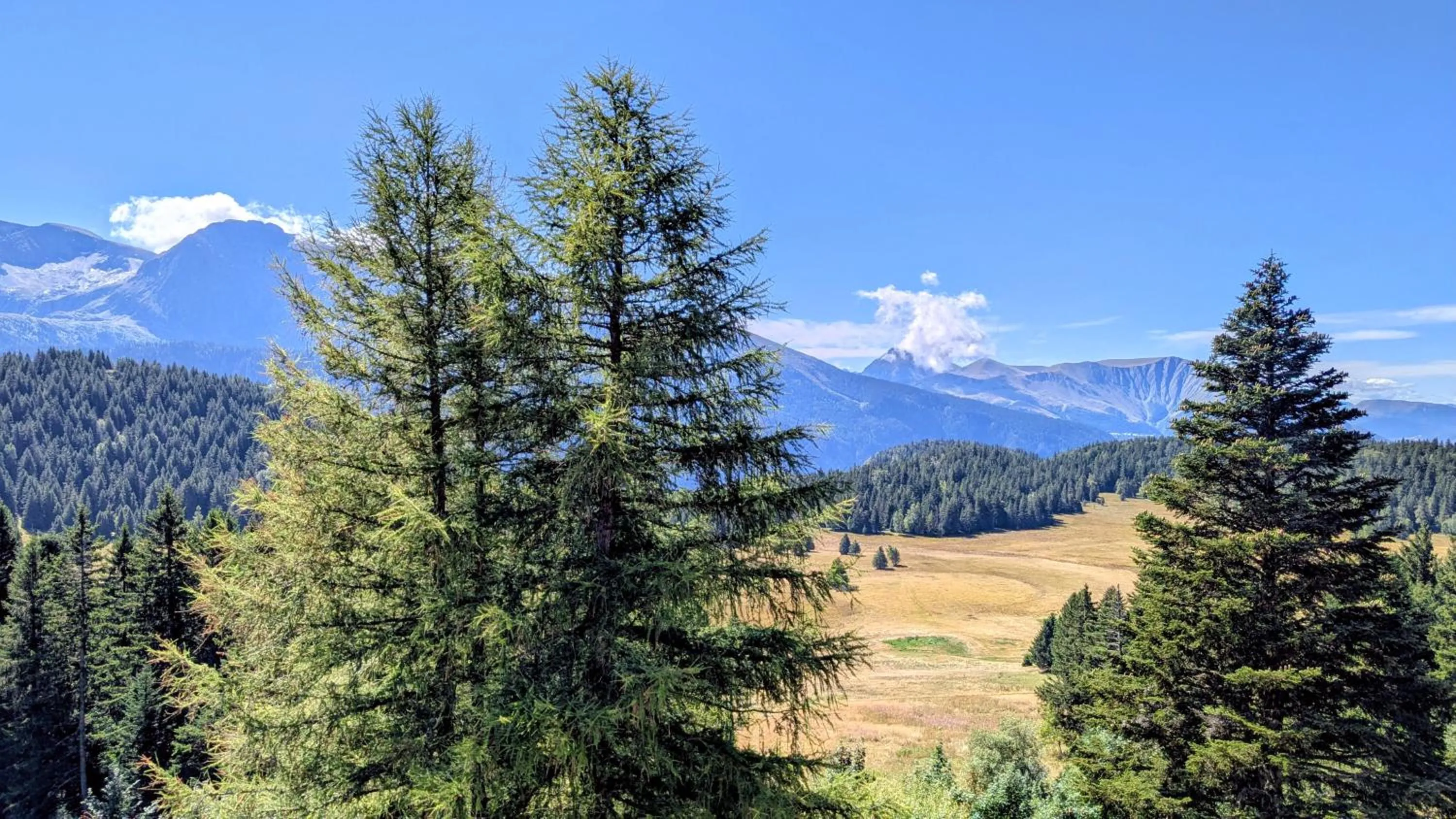 View (from property/room) in Résidence Les Villages du Bachat