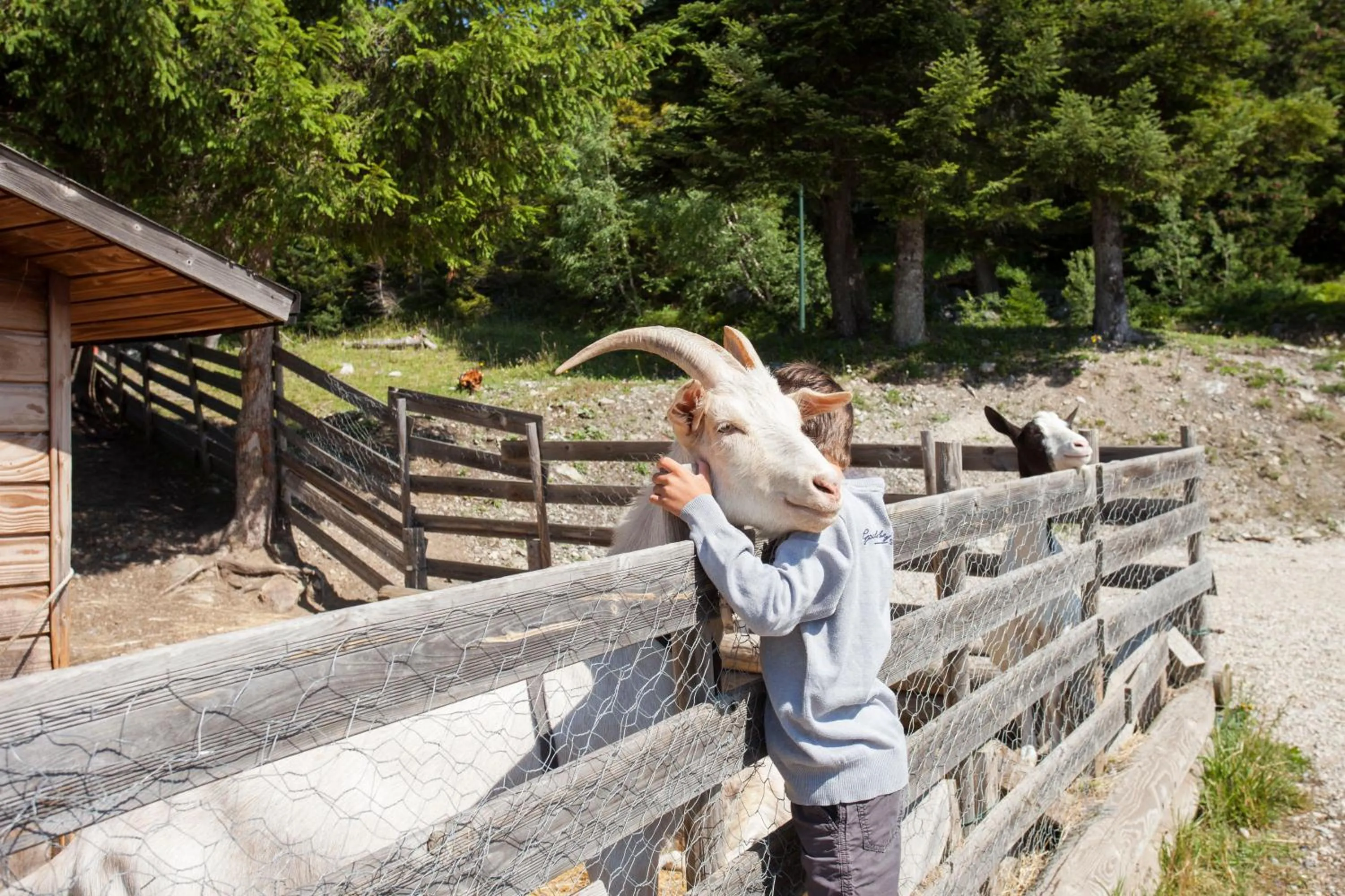 Animals in Résidence Les Villages du Bachat