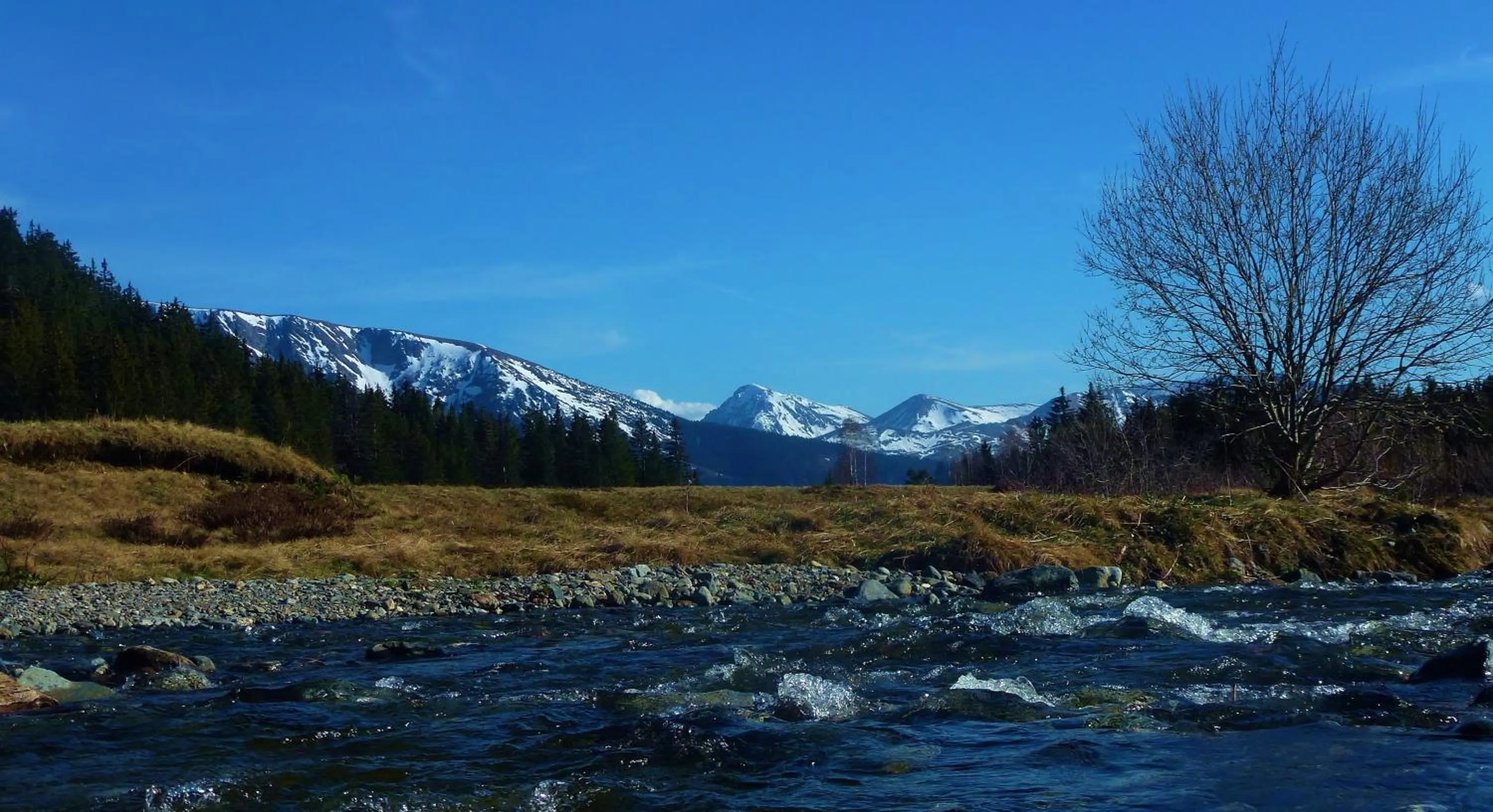 View (from property/room) in Résidence Les Villages du Bachat