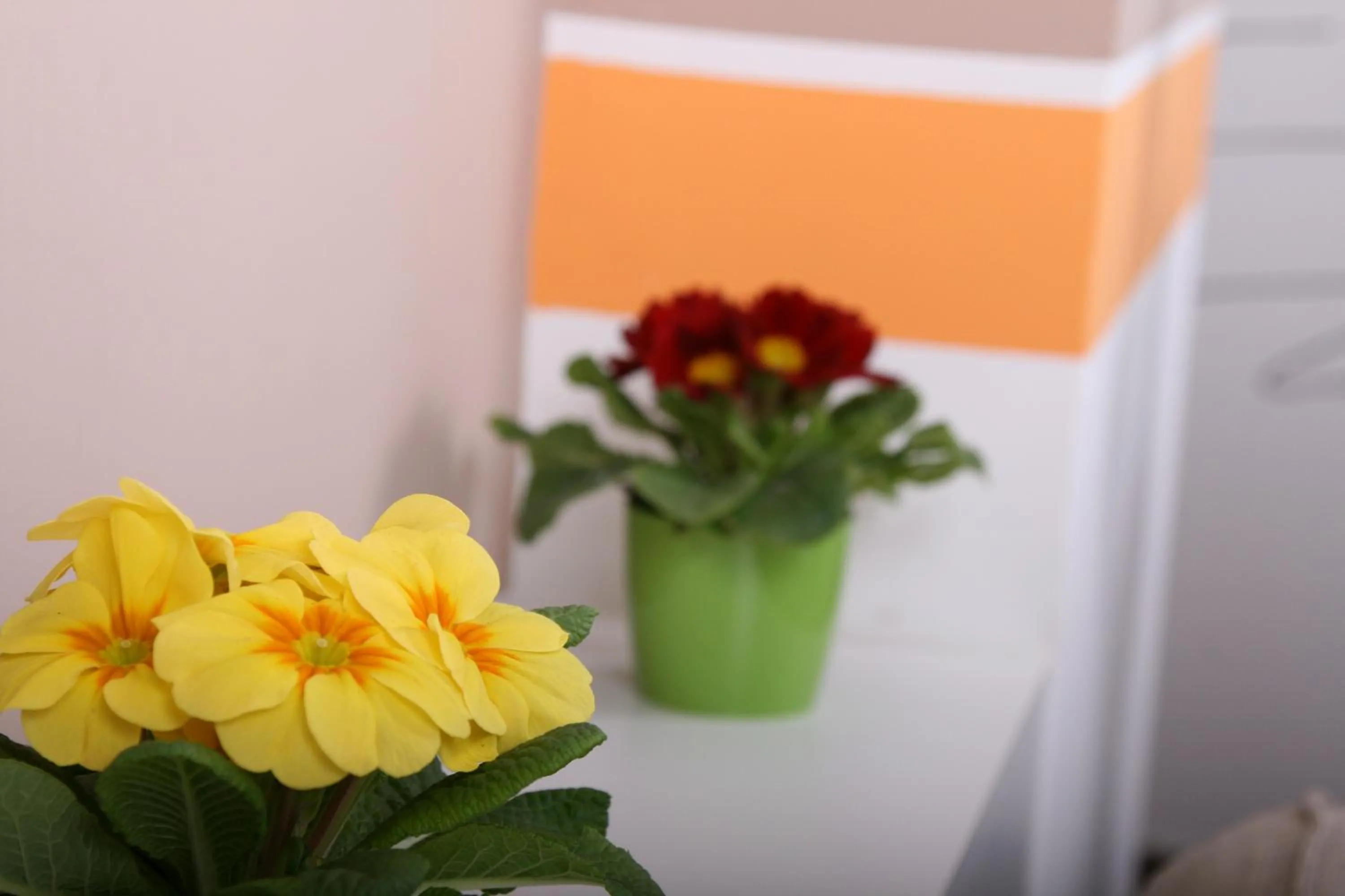 Decorative detail in Aaron