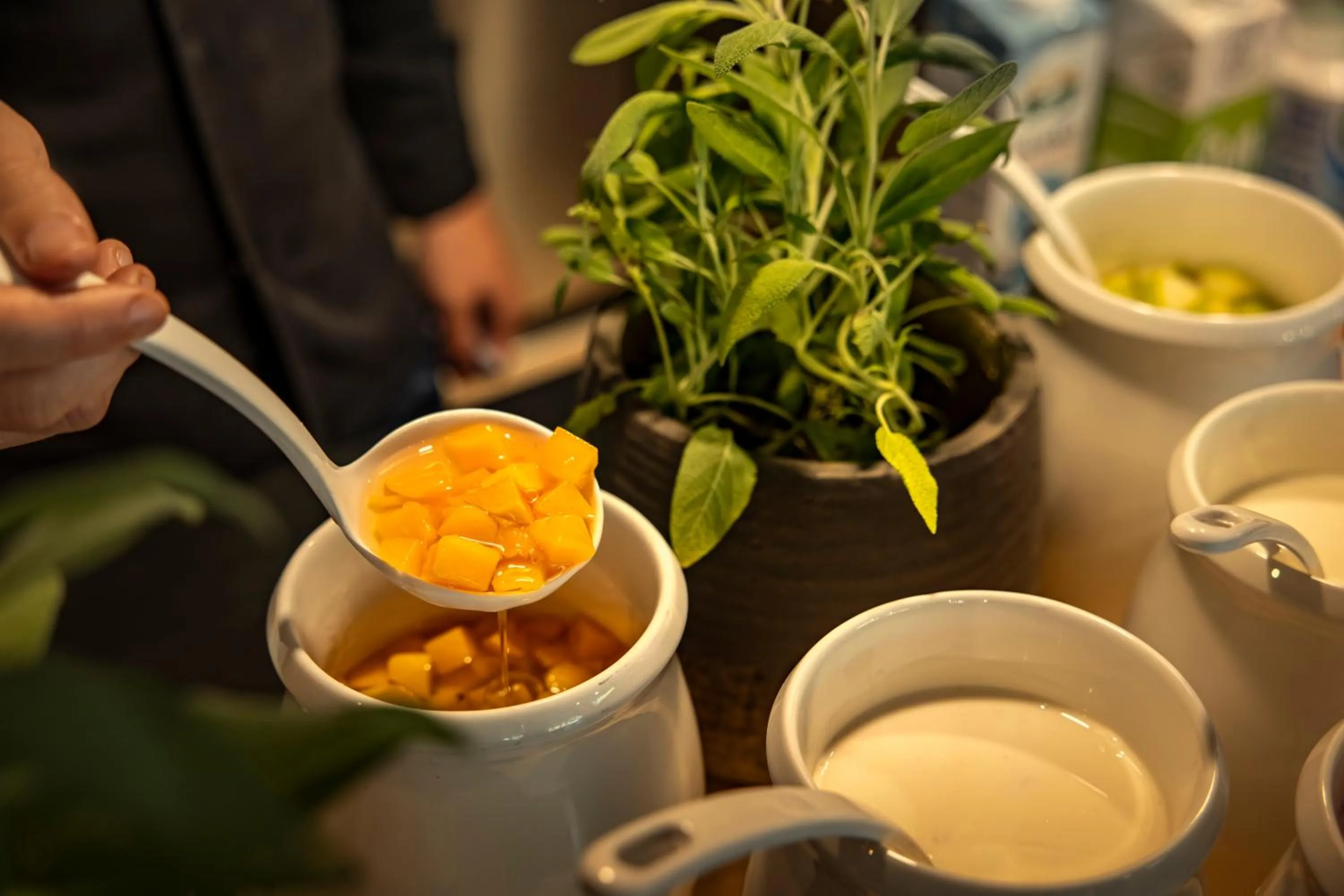 Buffet breakfast in PLACES Hvar Hotel by Valamar