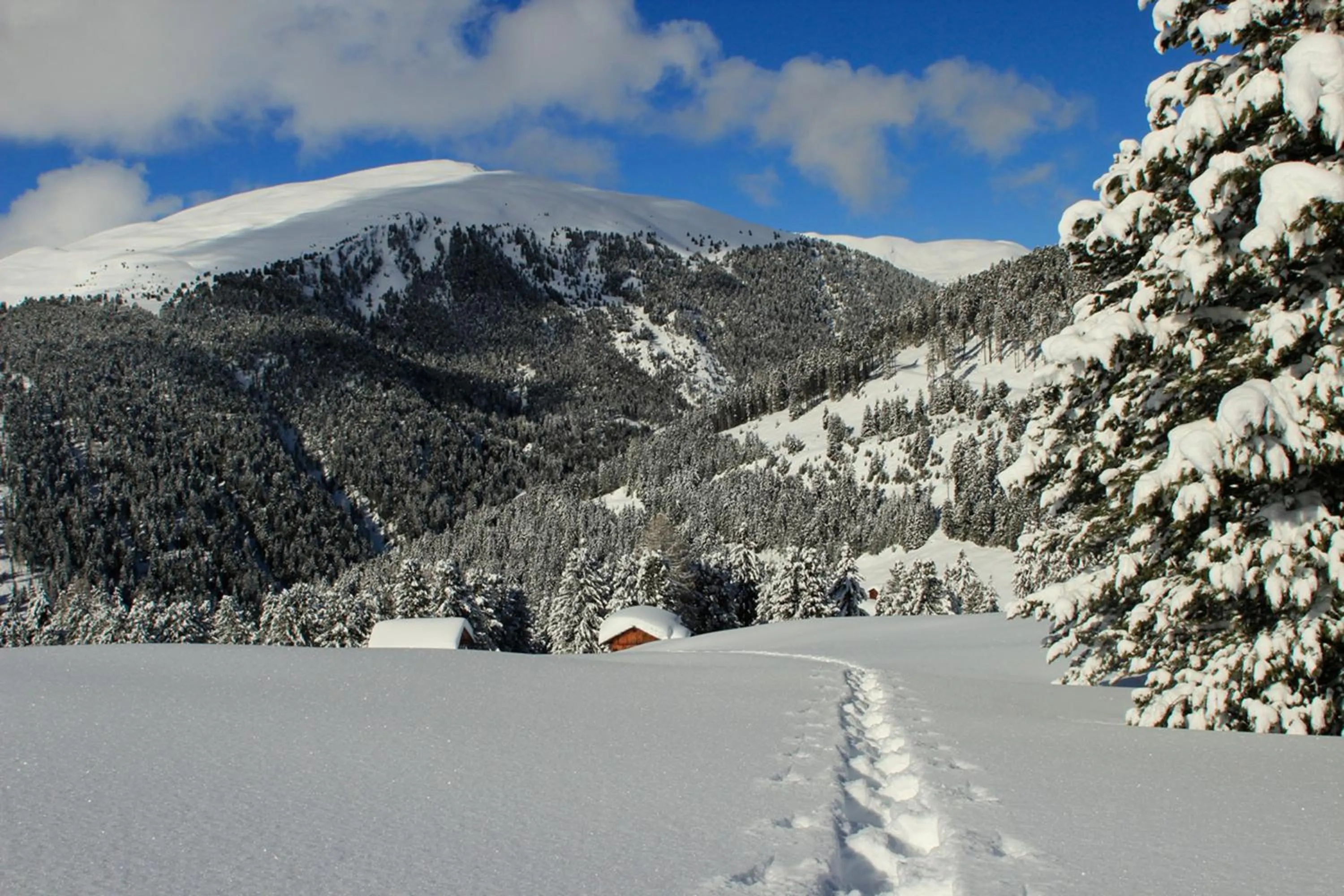 Winter in Pension Maria