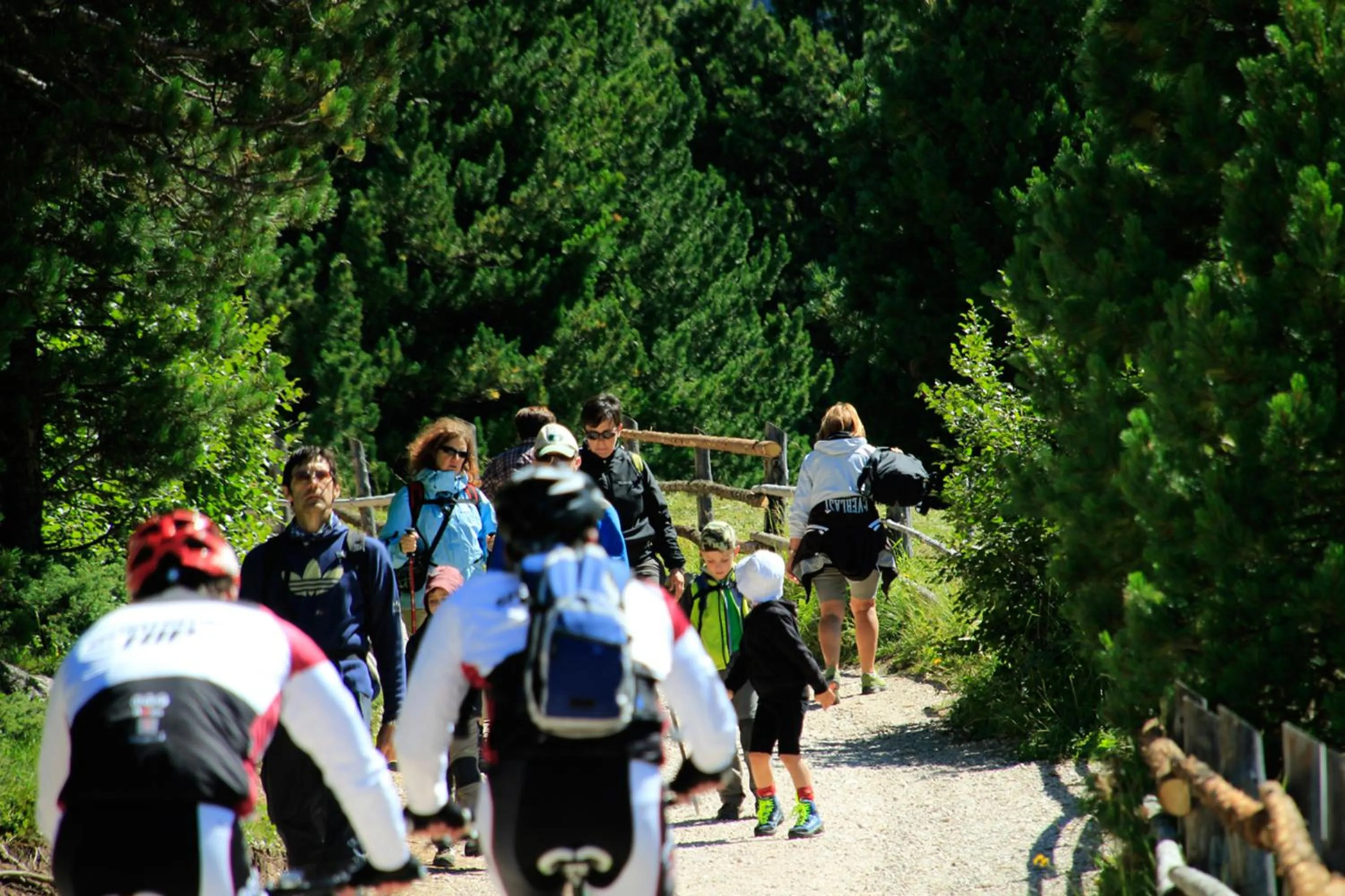 Cycling in Pension Maria