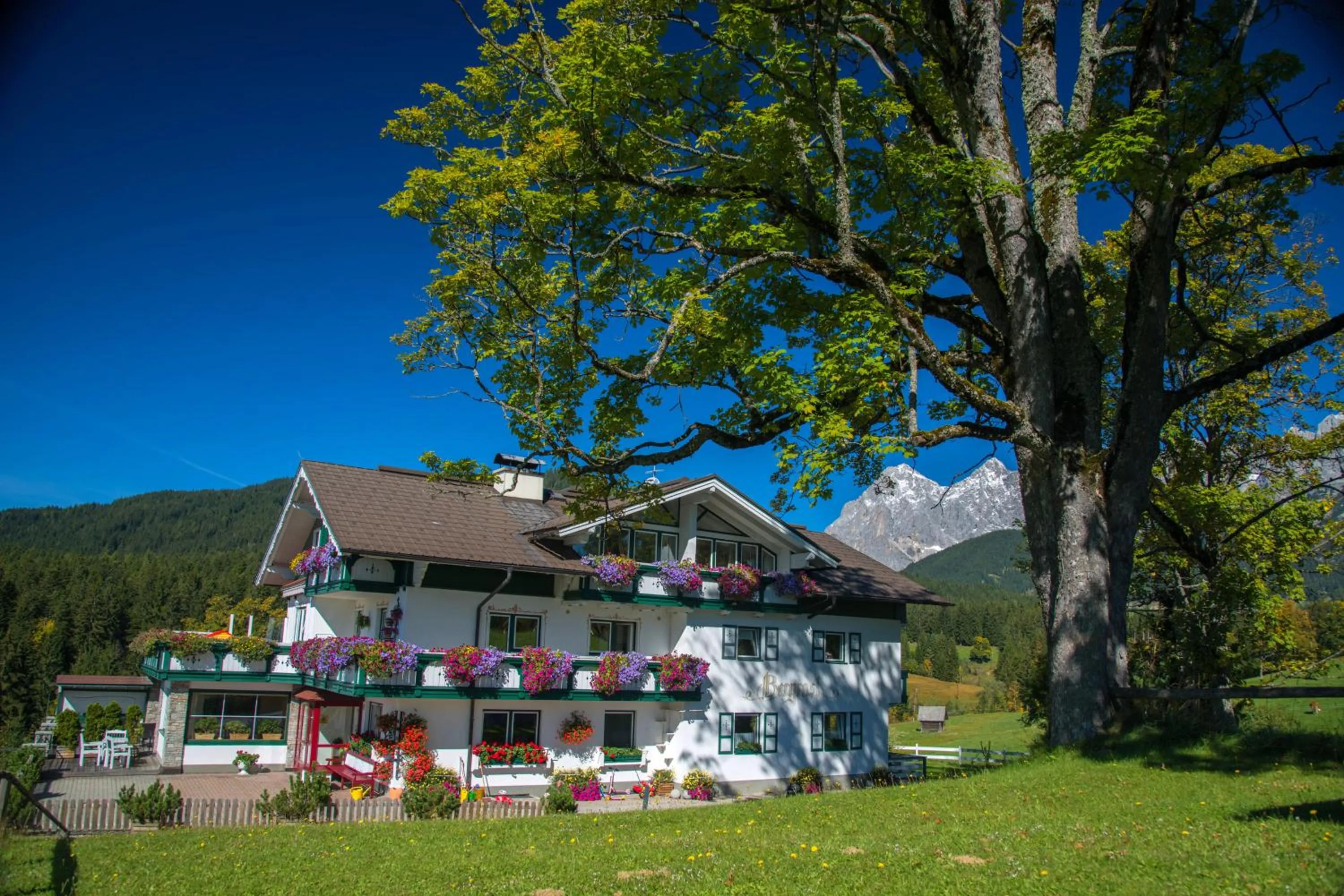 Neighbourhood in Landhaus & Ferienwohnungen Bergrast