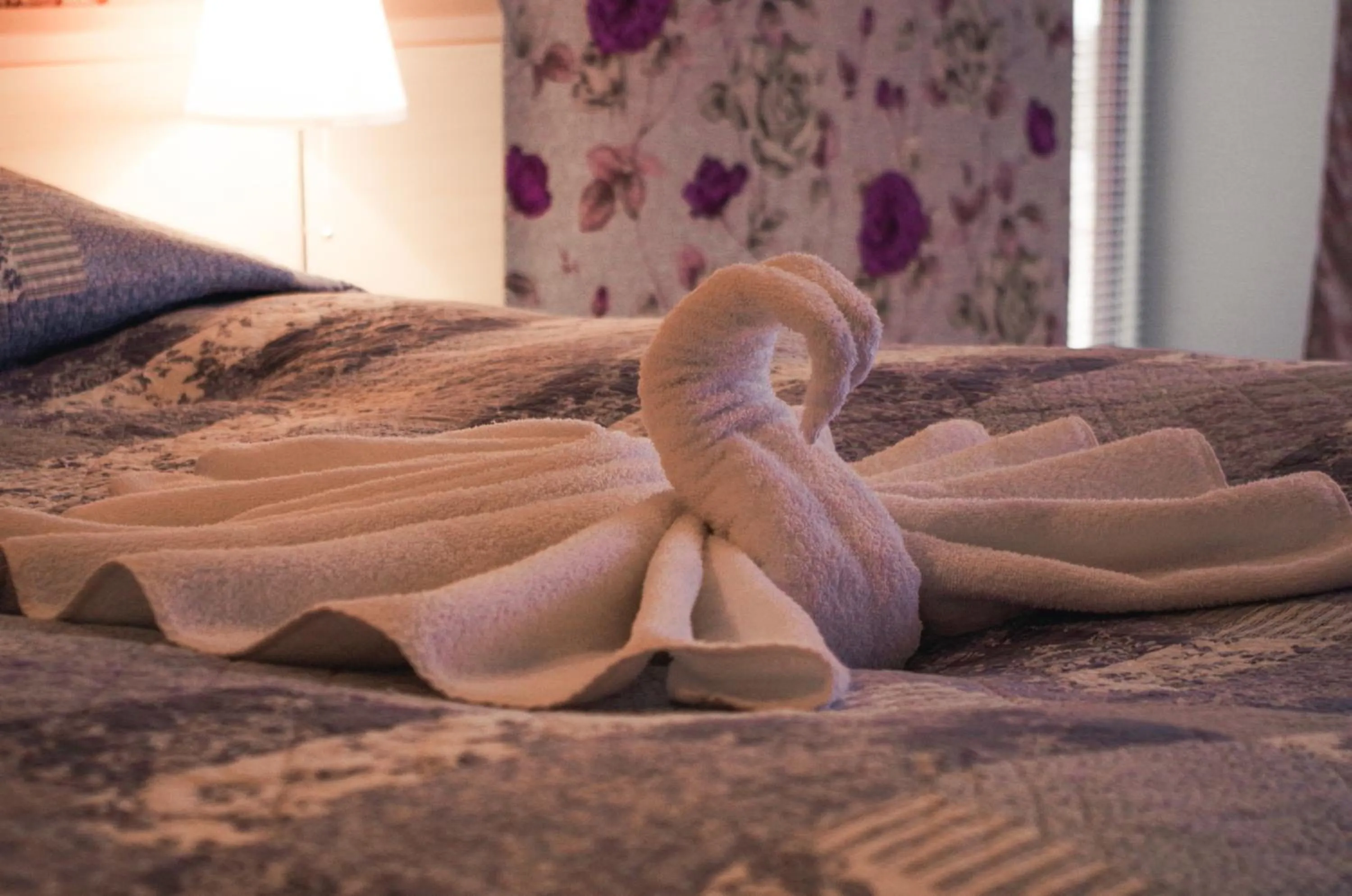 Breakfast, Bed in Hotell Tamula