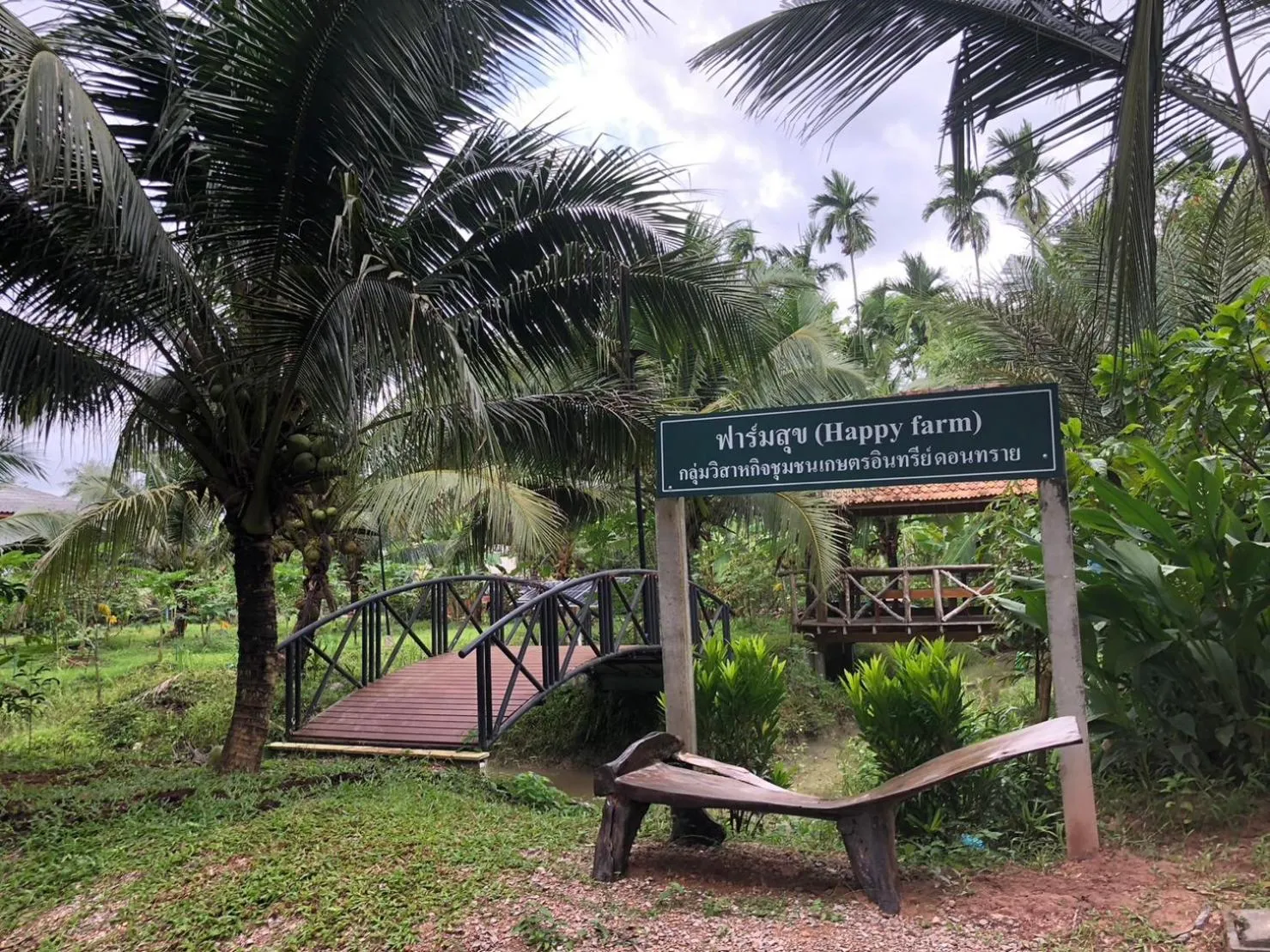 View (from property/room) in Green Happy Homestay