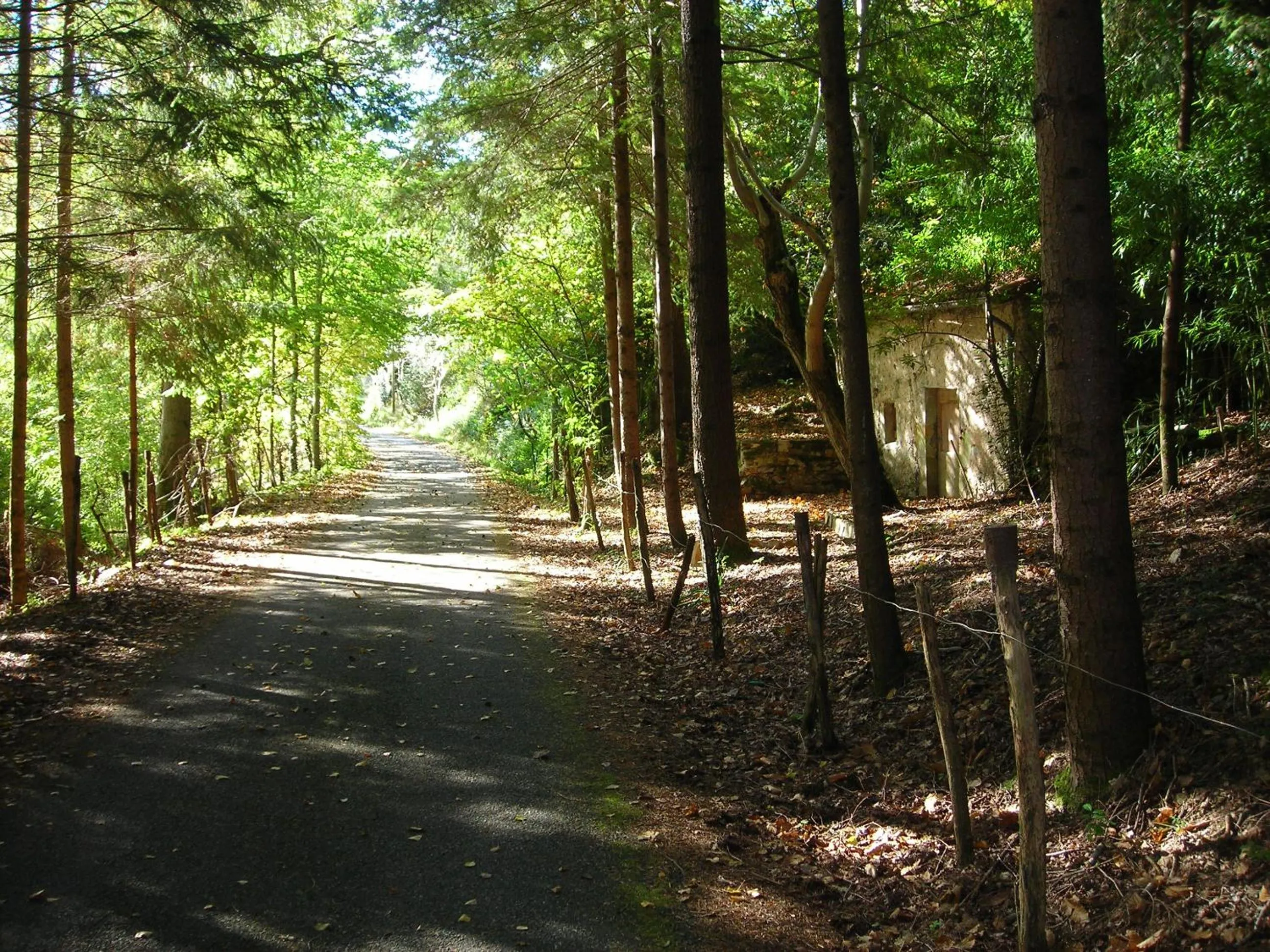 Logis Hôtel Le Belle Rive