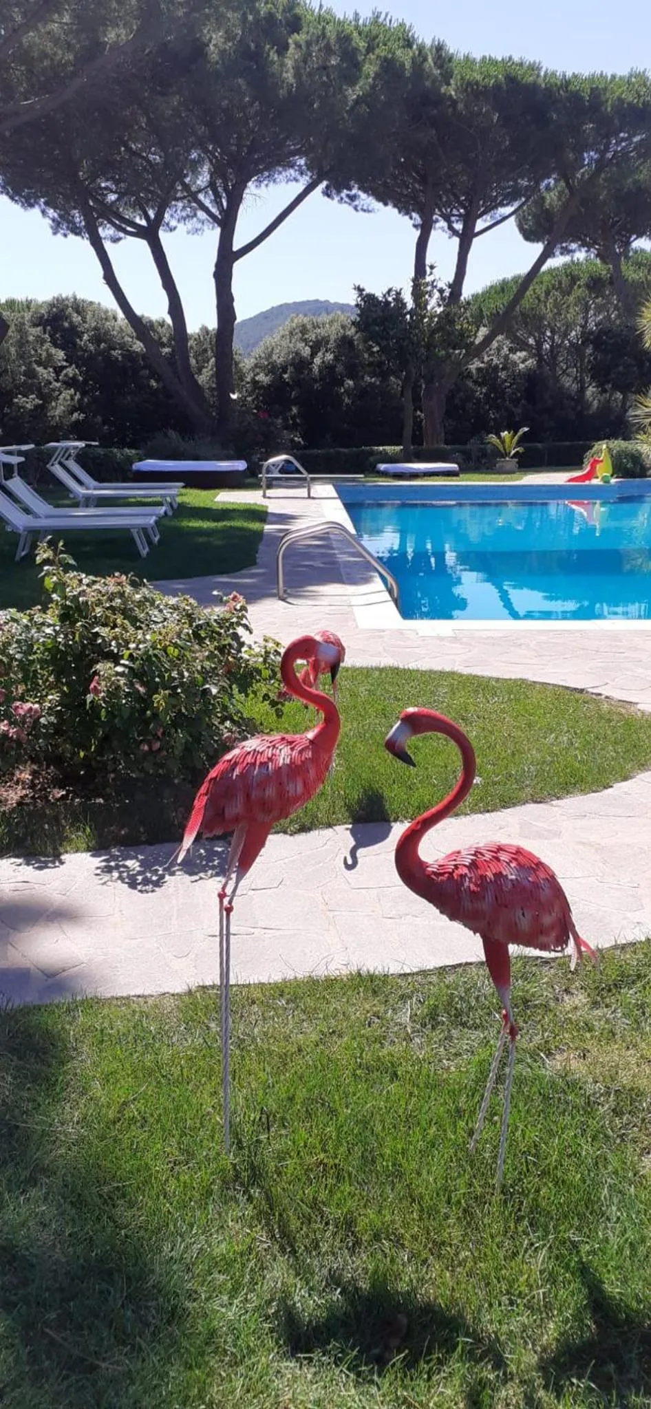 Garden in Almanuda Naturist Village
